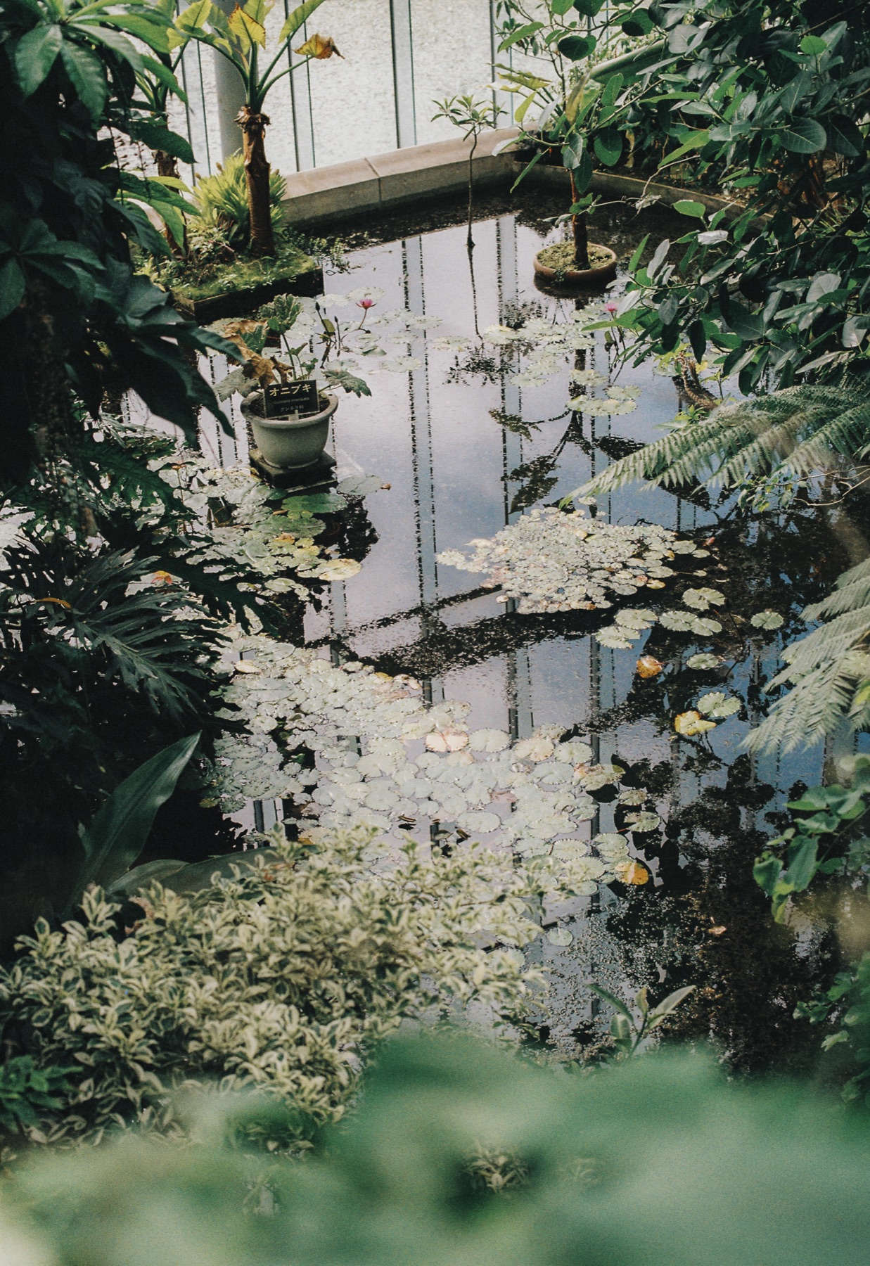 Roll 01 · Tokyo, frame 9