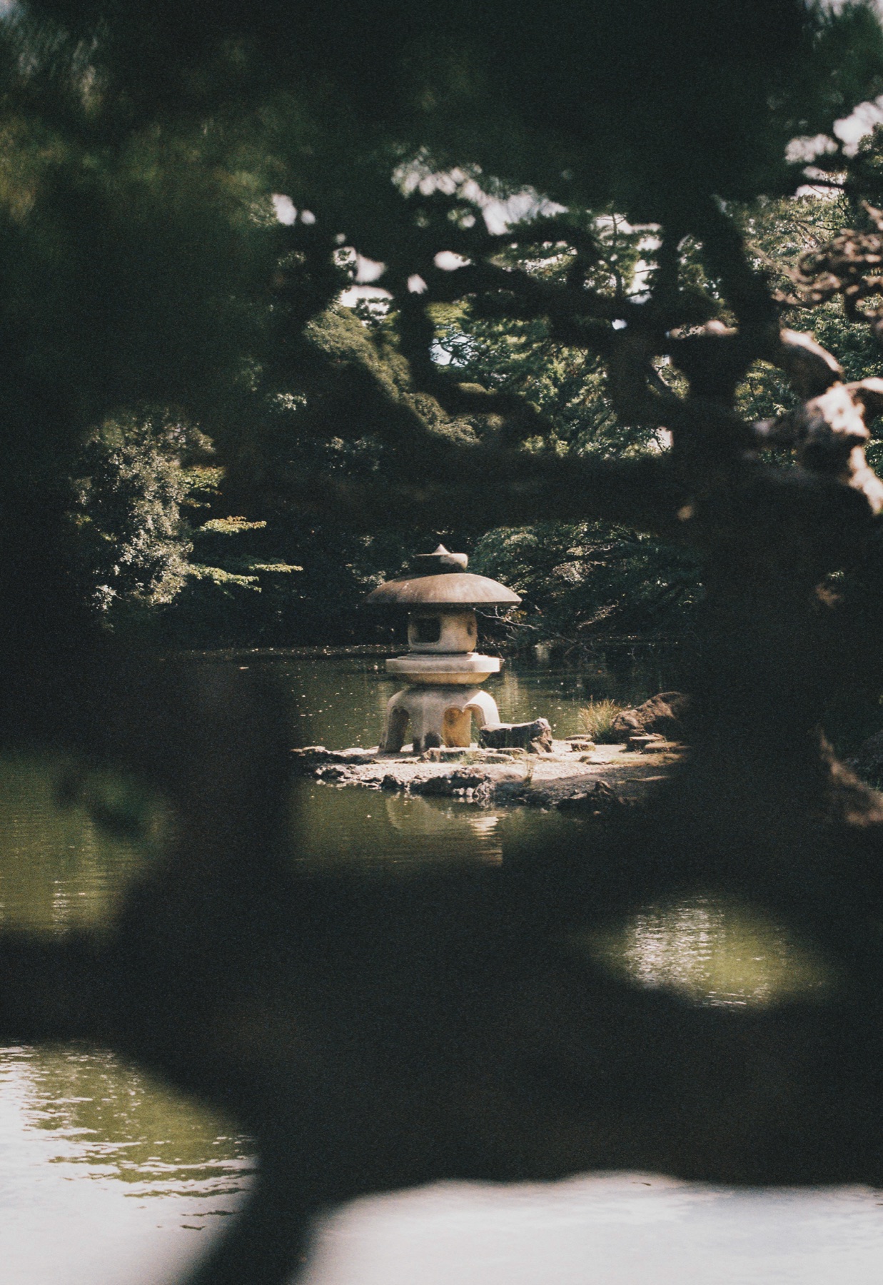 Roll 01 · Tokyo, frame 12