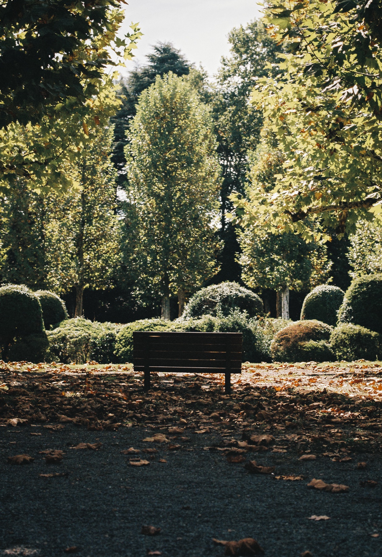 Roll 01 · Tokyo, frame 14