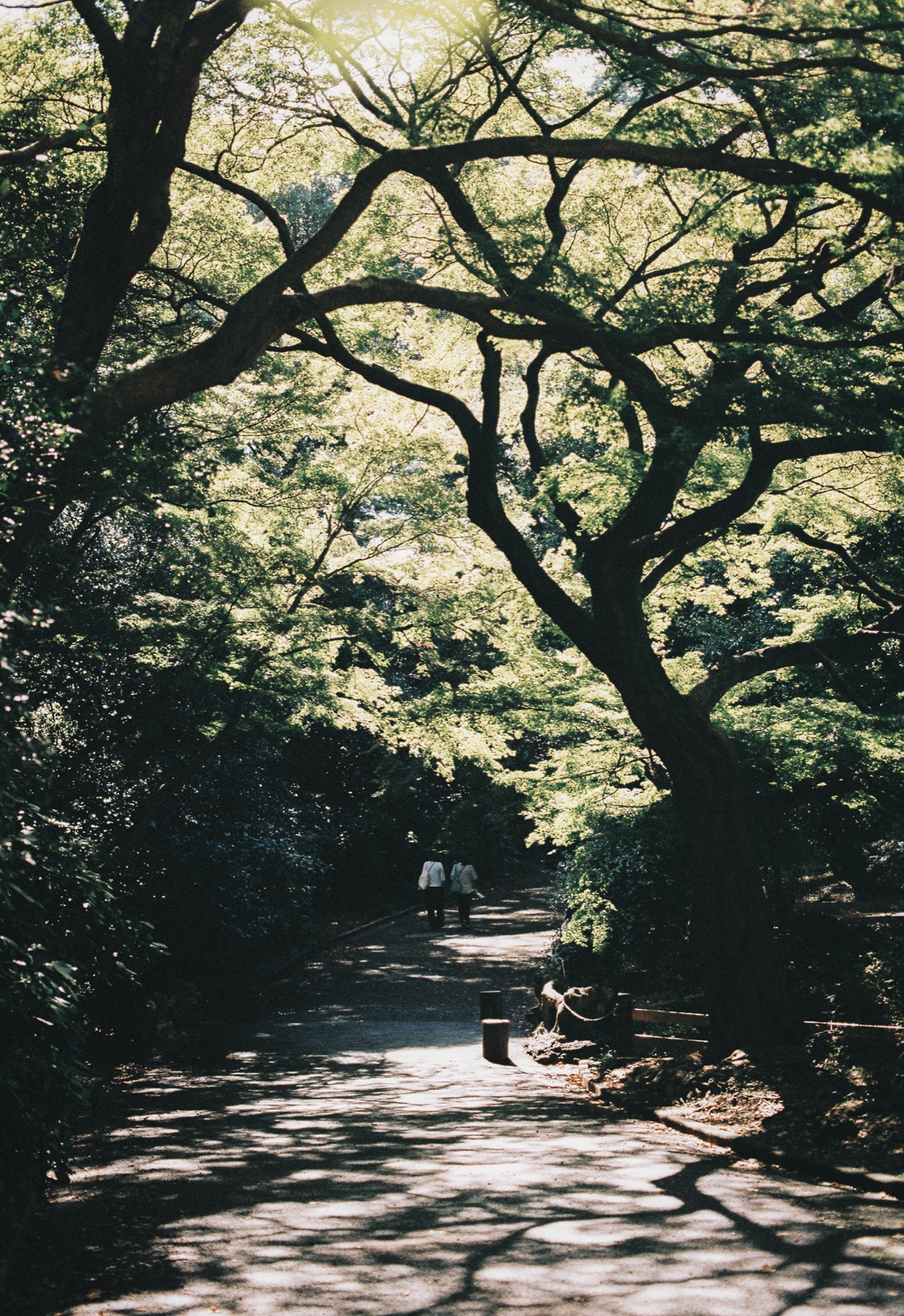 Roll 01 · Tokyo, frame 18