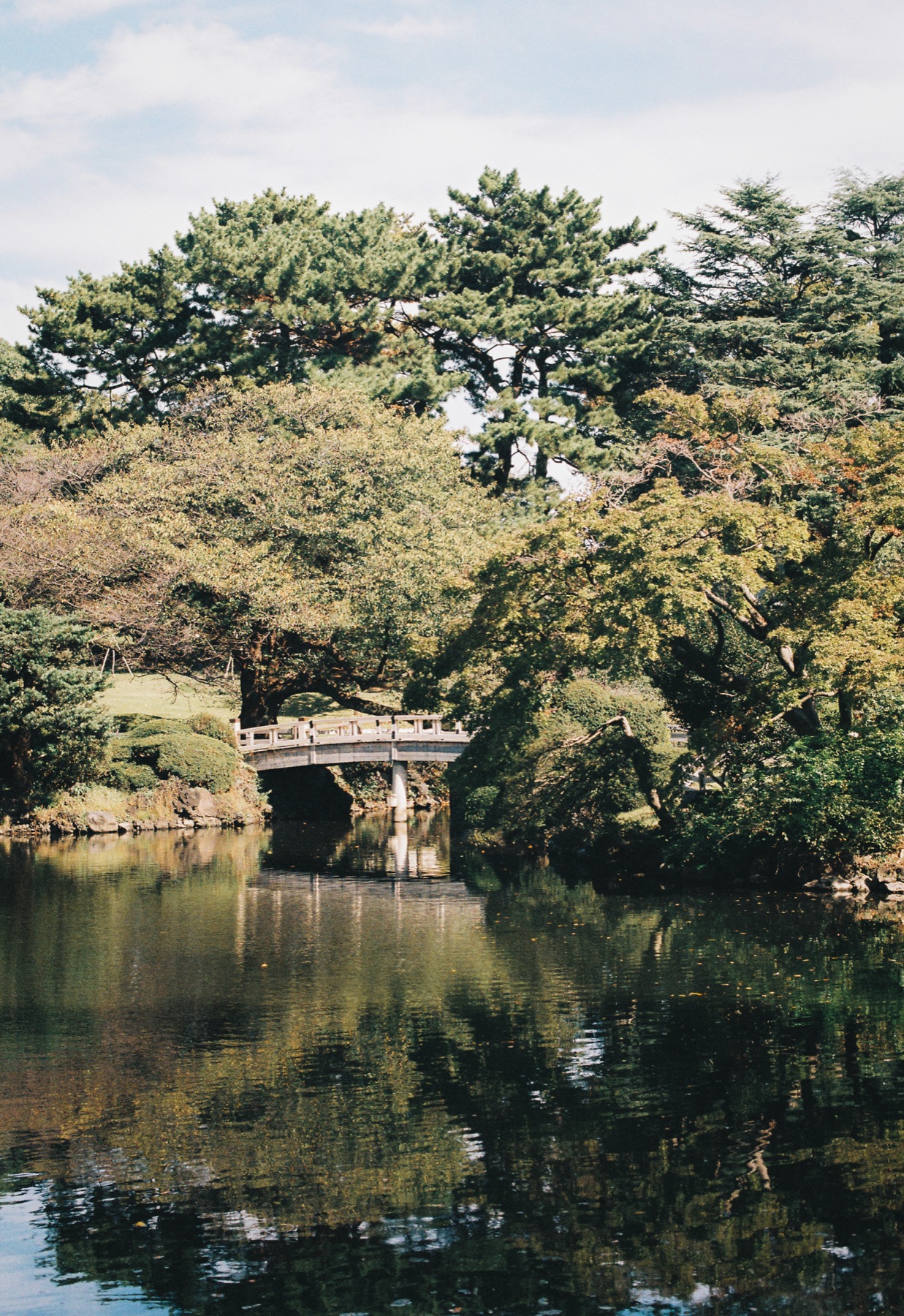 Roll 01 · Tokyo, frame 20