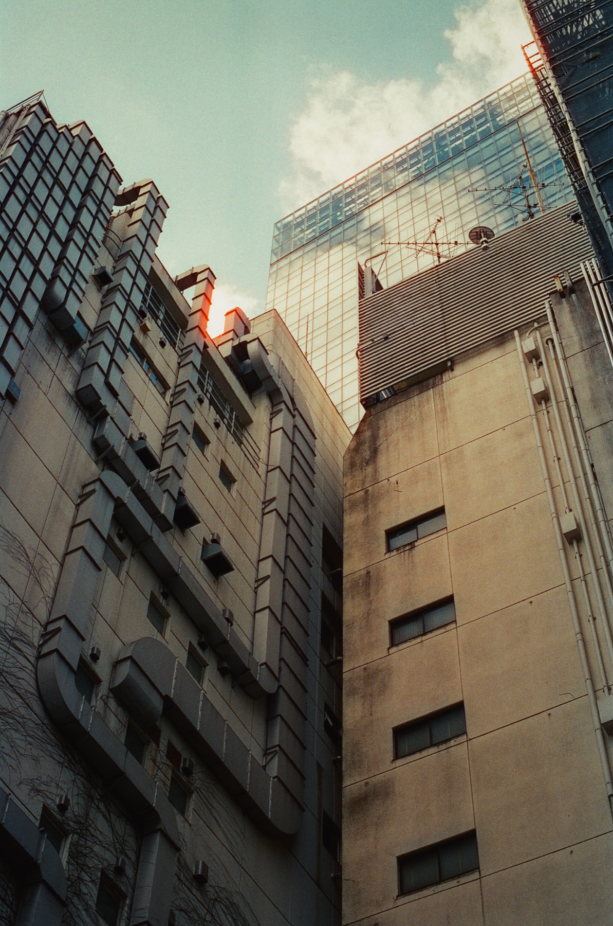 Roll 02 · Tokyo, frame 19