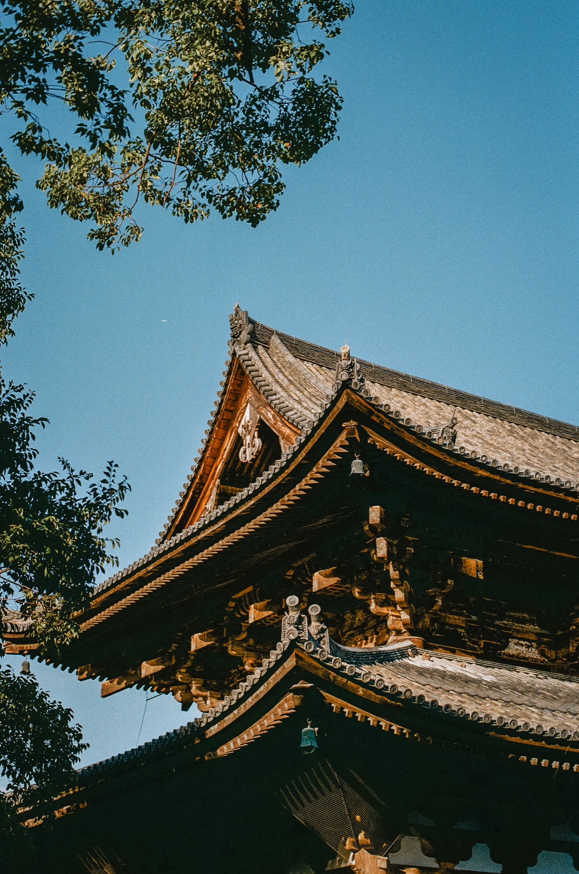 Roll 05 · Kyoto, frame 6