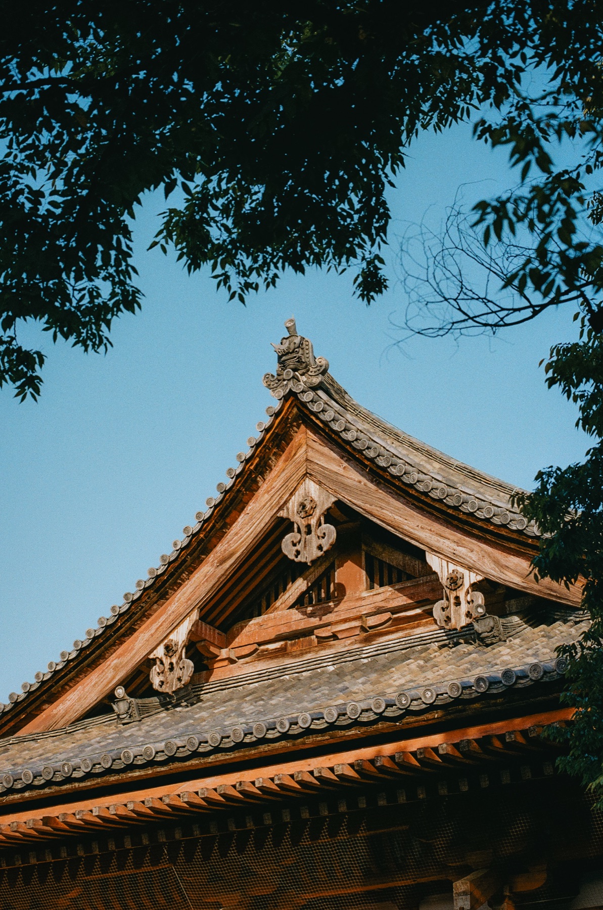 Roll 05 · Kyoto, frame 7
