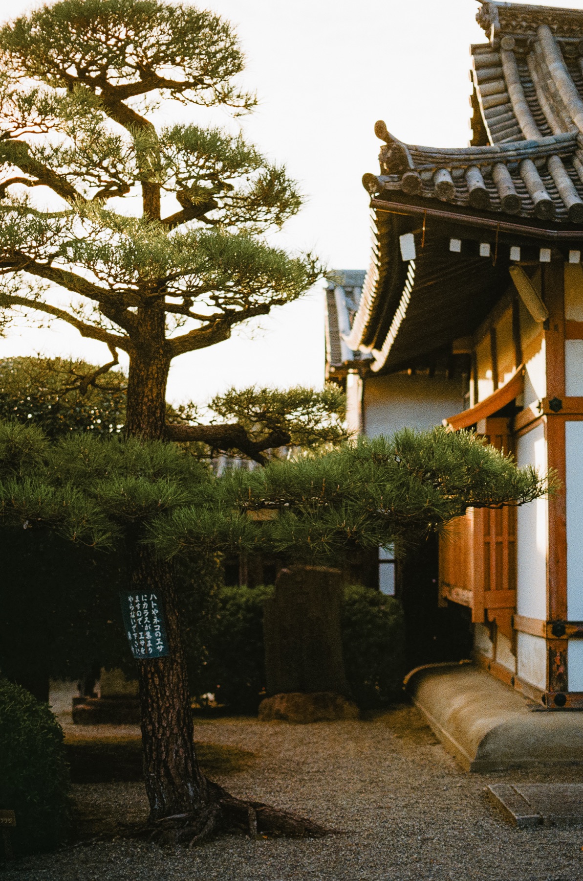 Roll 05 · Kyoto, frame 11