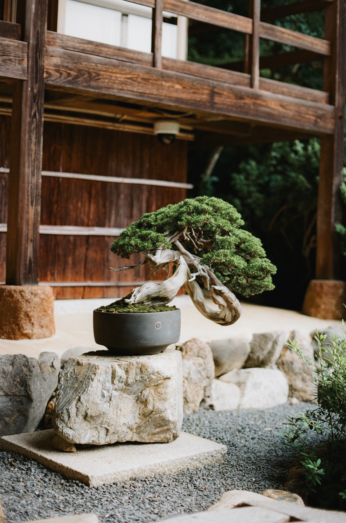 Roll 06 · Kyoto, frame 4