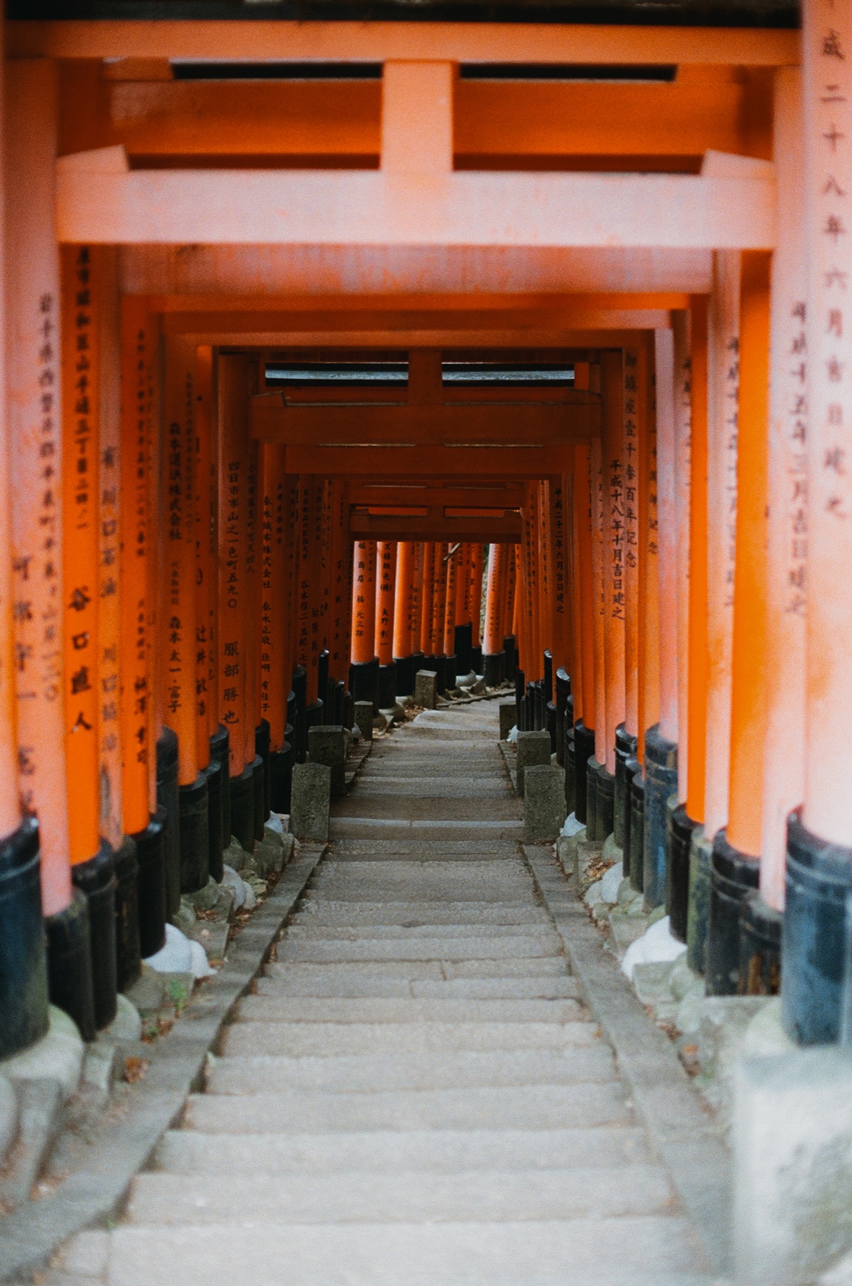 Roll 06 · Kyoto, frame 8