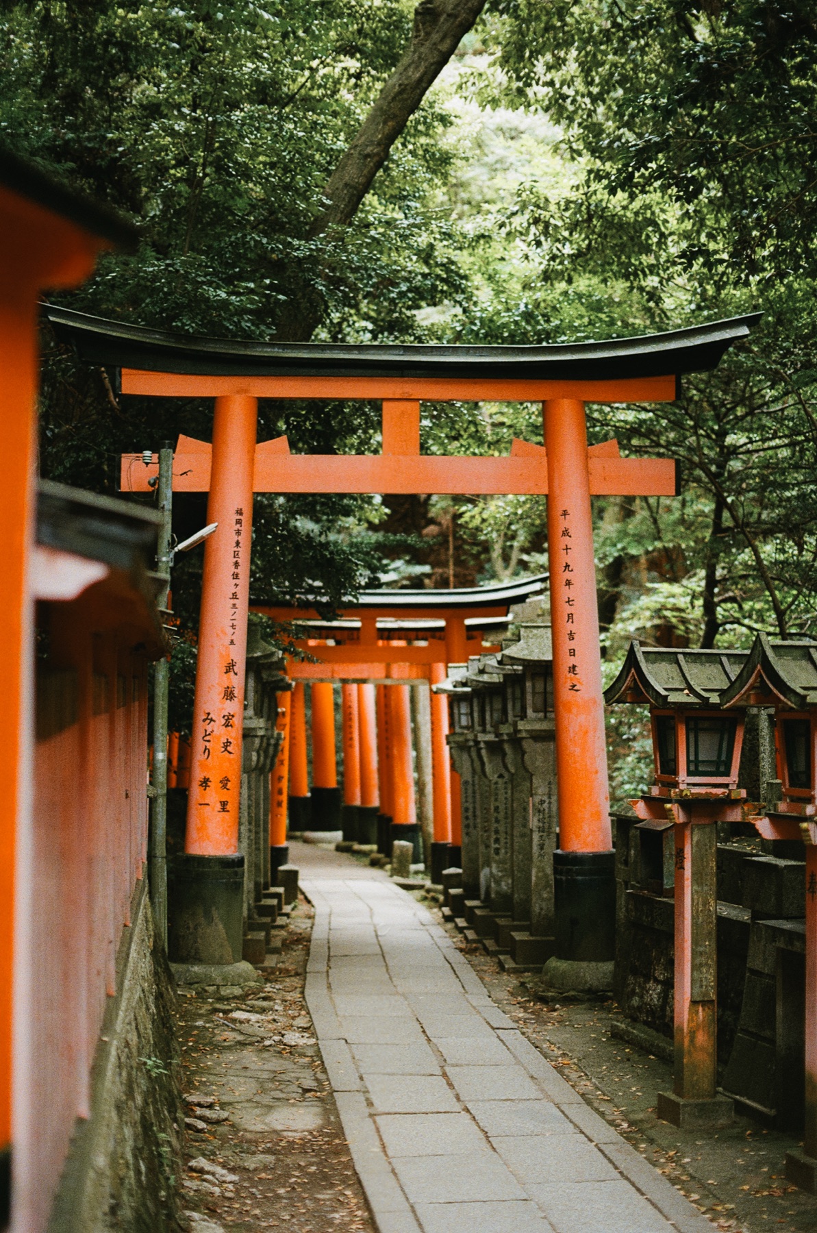Roll 06 · Kyoto, frame 13