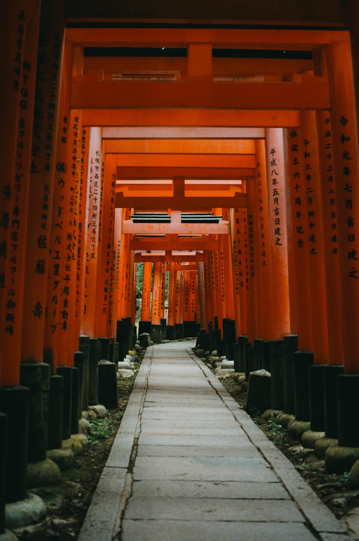 Roll 06 · Kyoto, frame 15