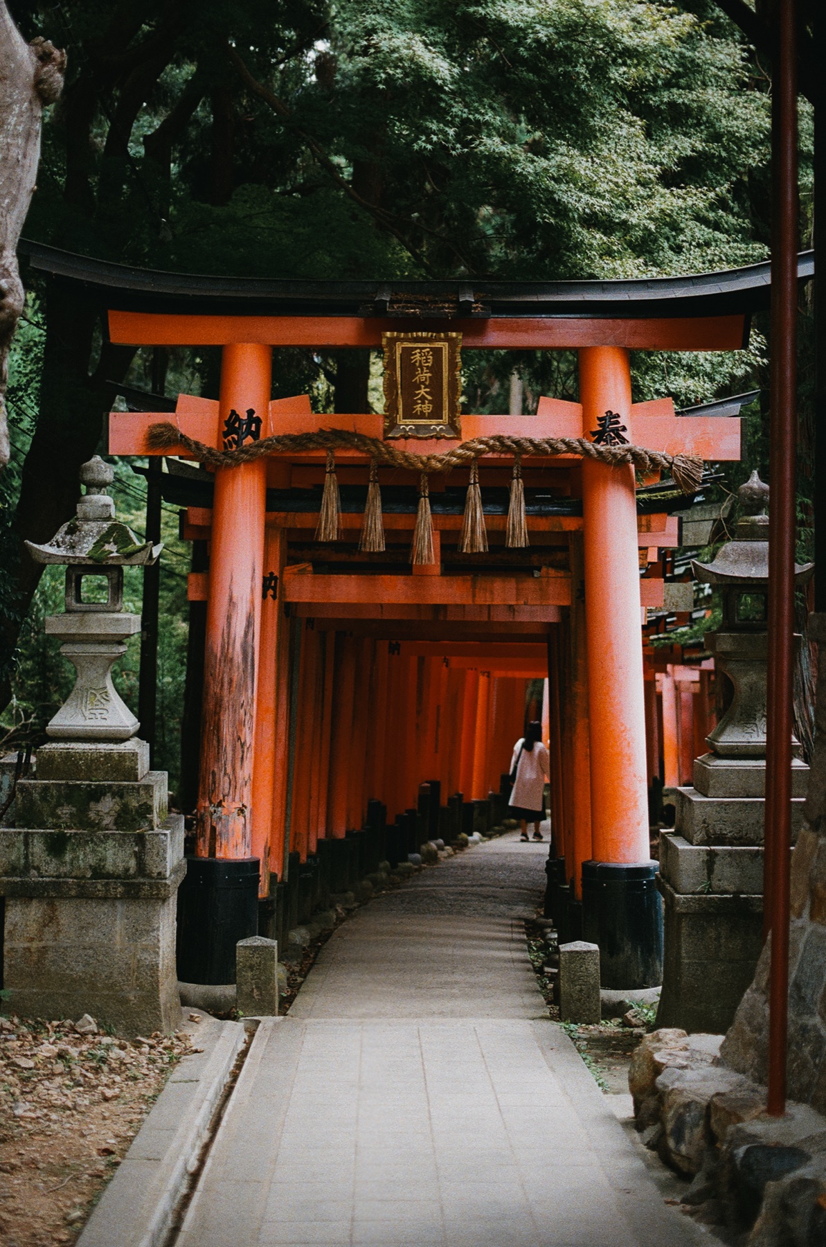 Roll 06 · Kyoto, frame 17