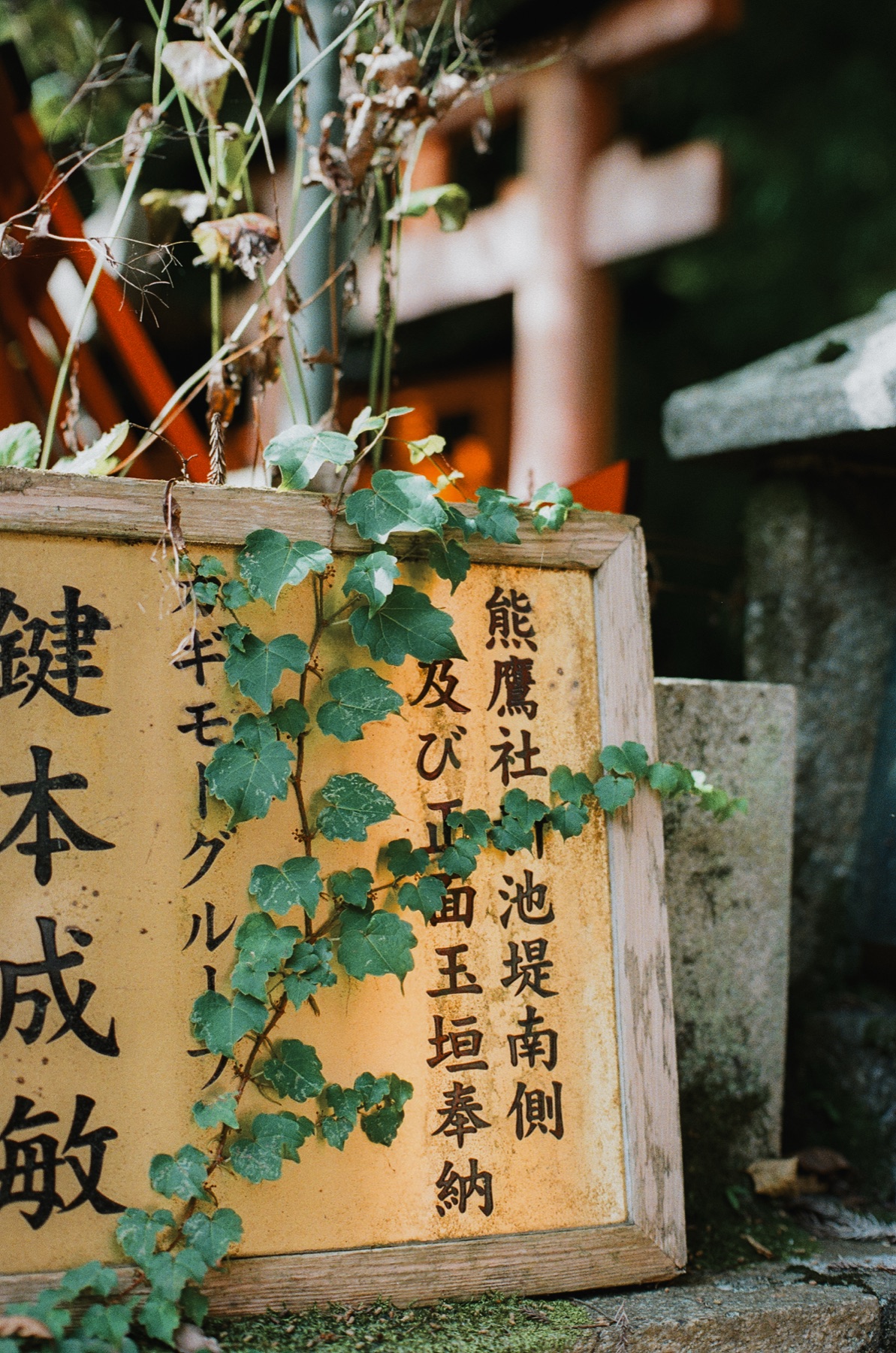 Roll 06 · Kyoto, frame 21