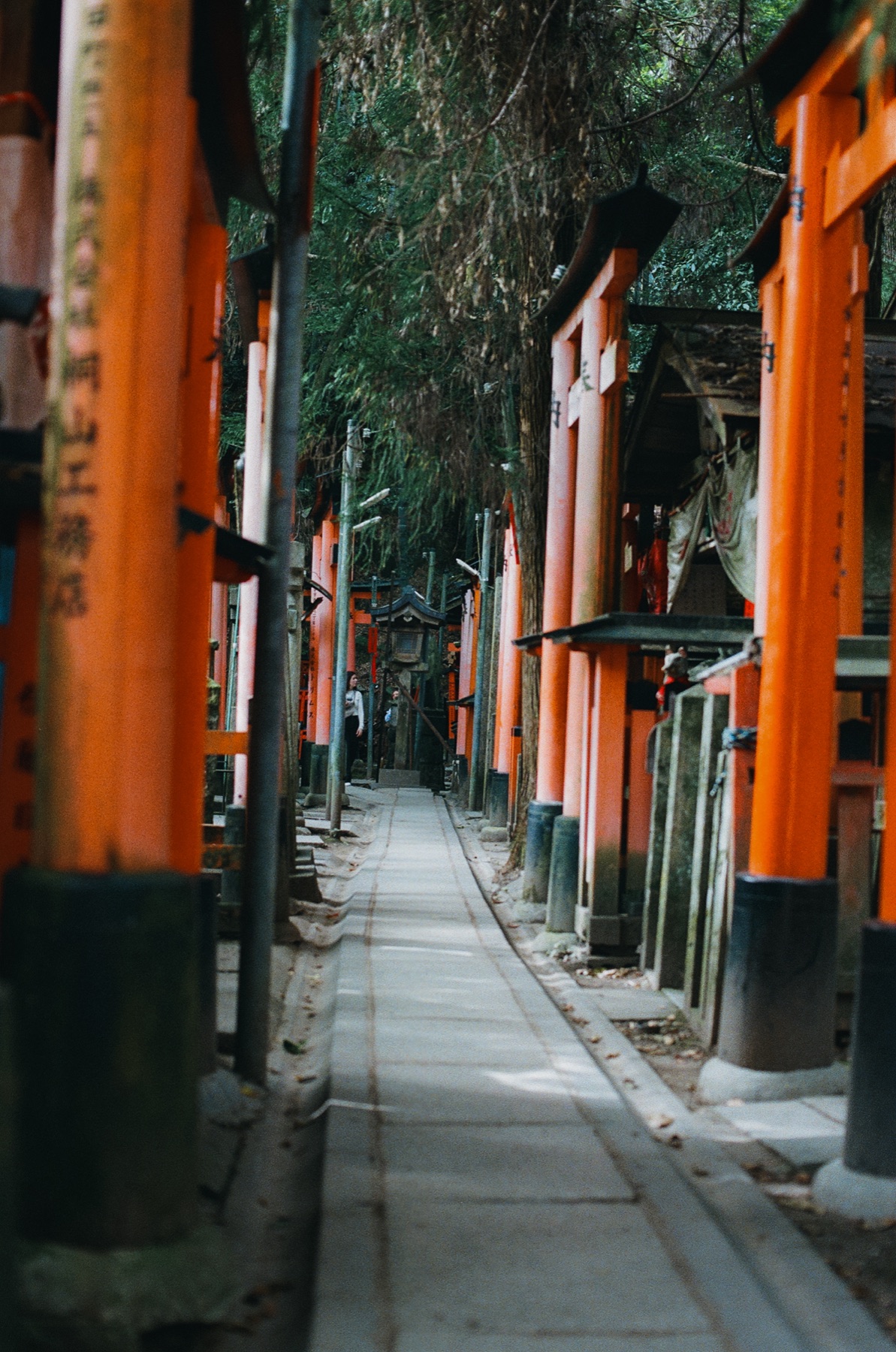 Roll 06 · Kyoto, frame 22