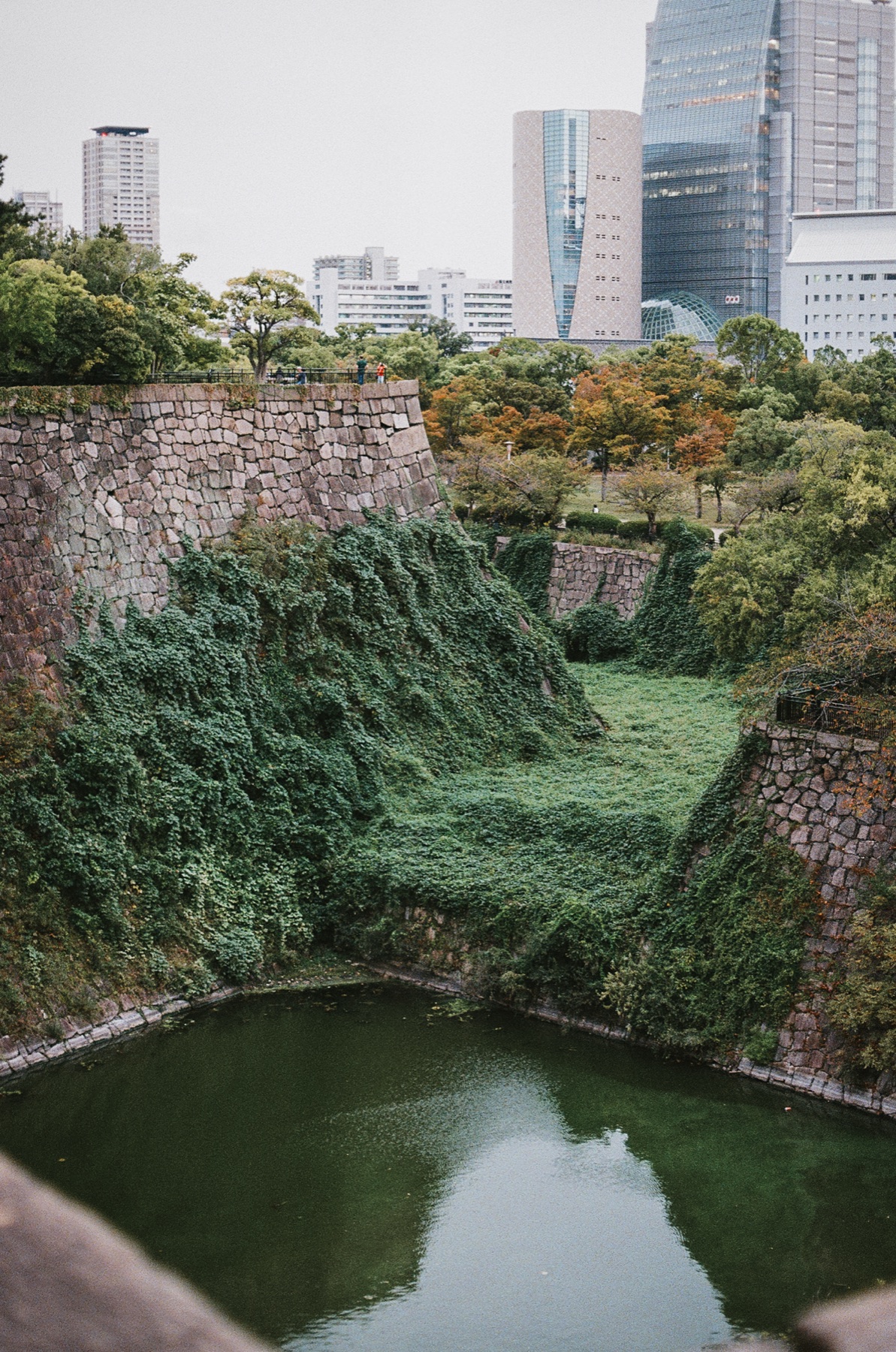 Roll 10 · Osaka Castle, frame 16
