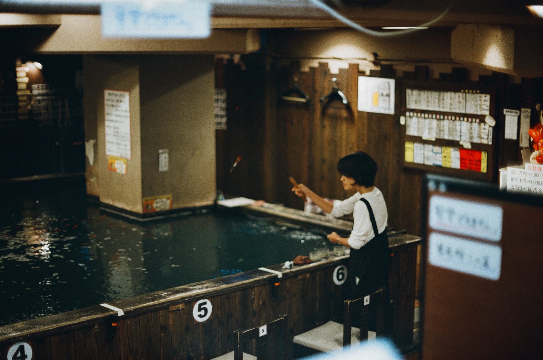 Roll 10 · Osaka Castle, frame 20