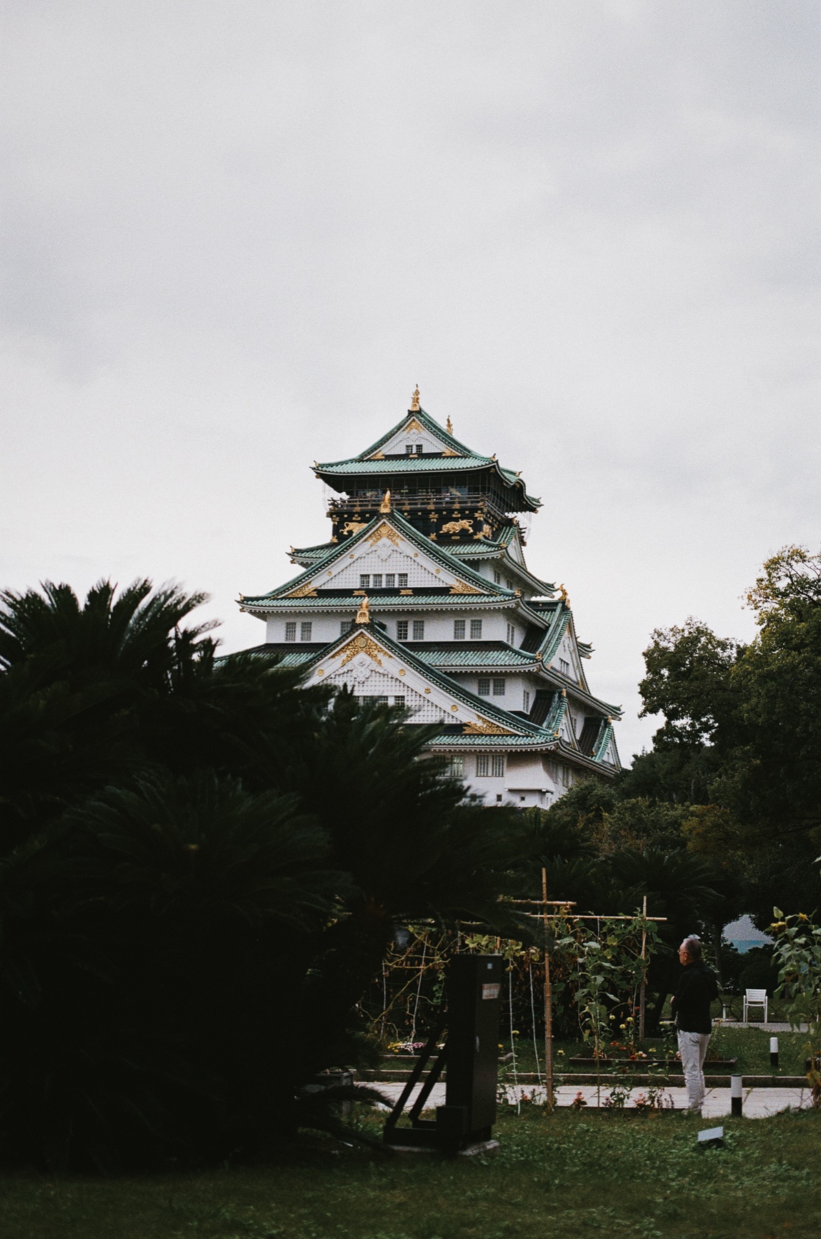 Roll 10 · Osaka Castle, frame 24