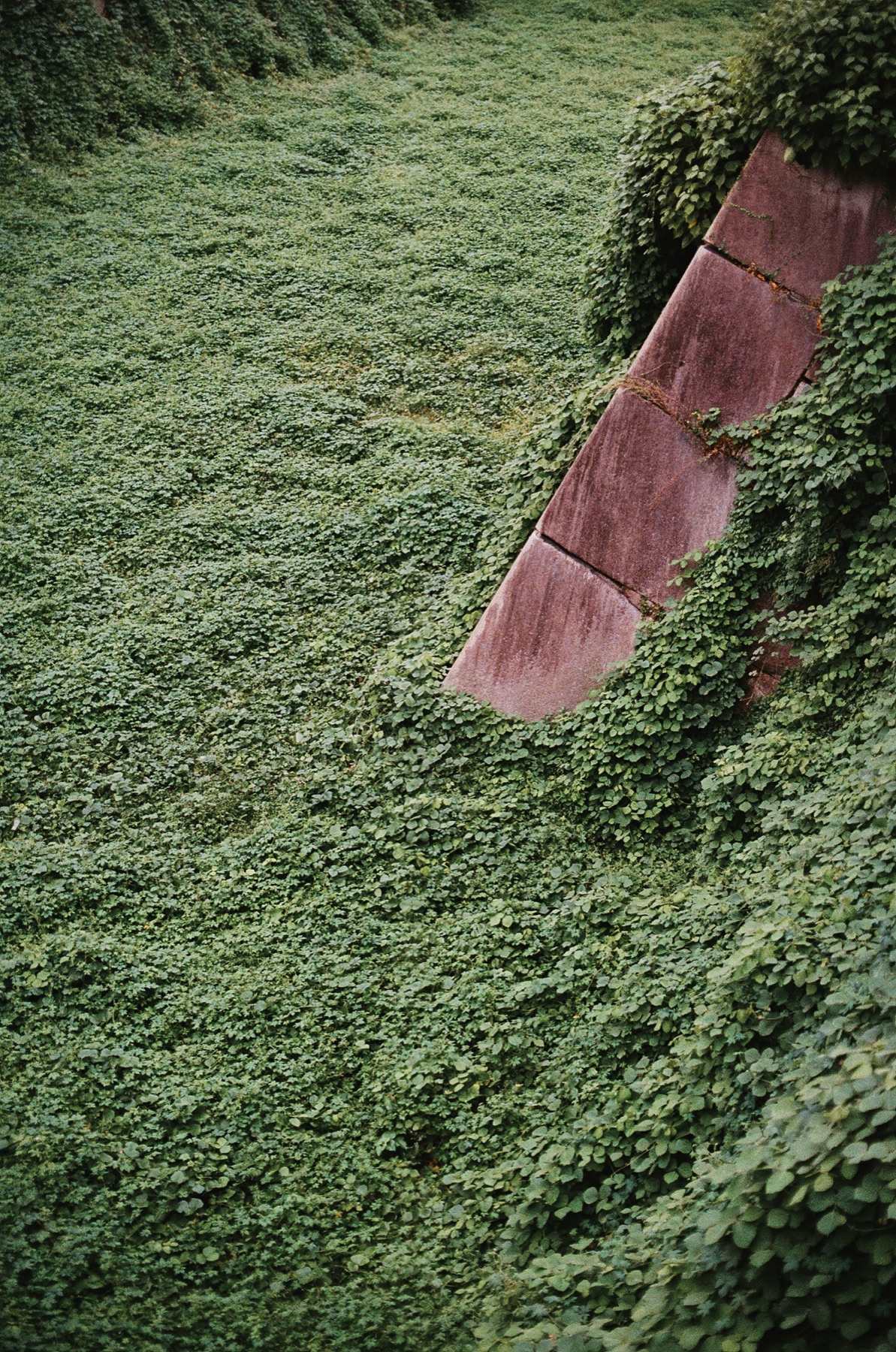 Roll 10 · Osaka Castle, frame 25