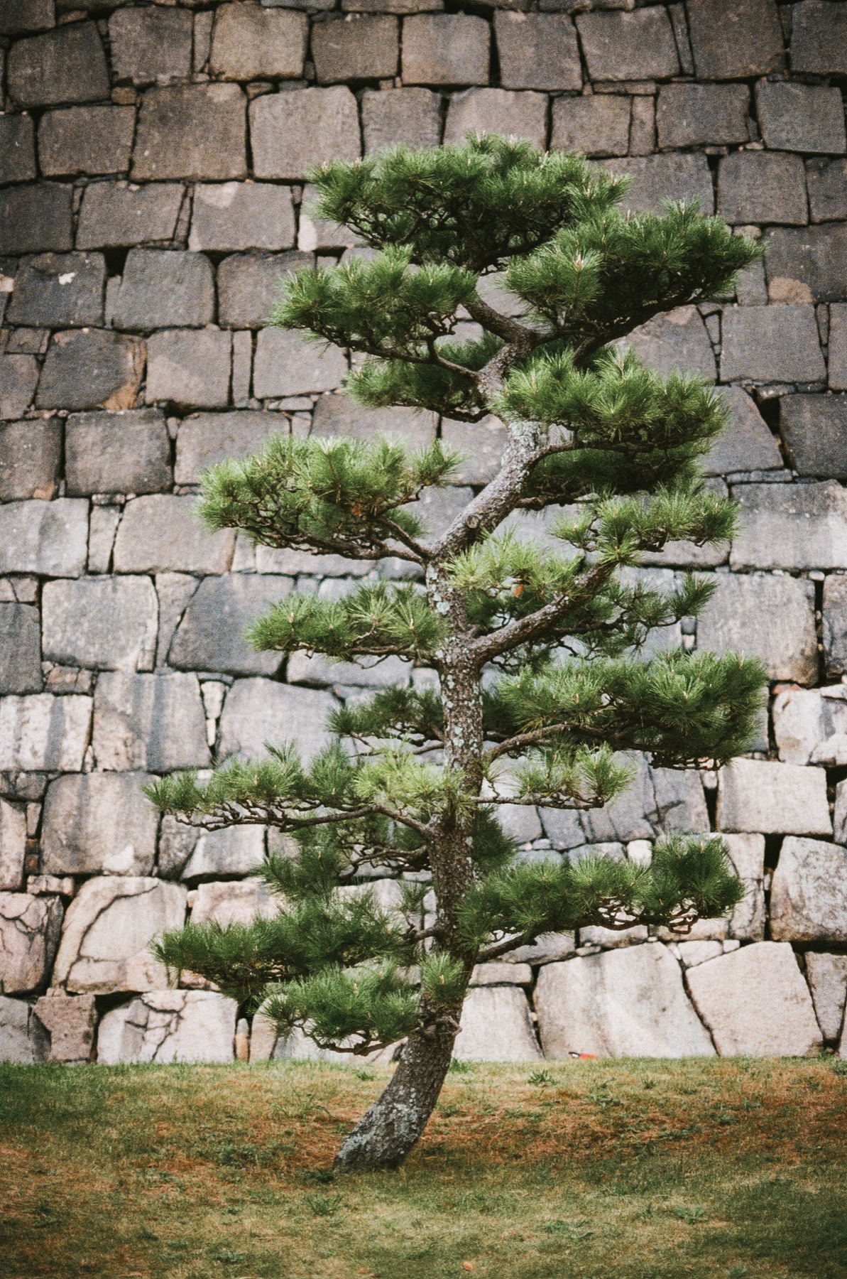 Roll 10 · Osaka Castle, frame 29