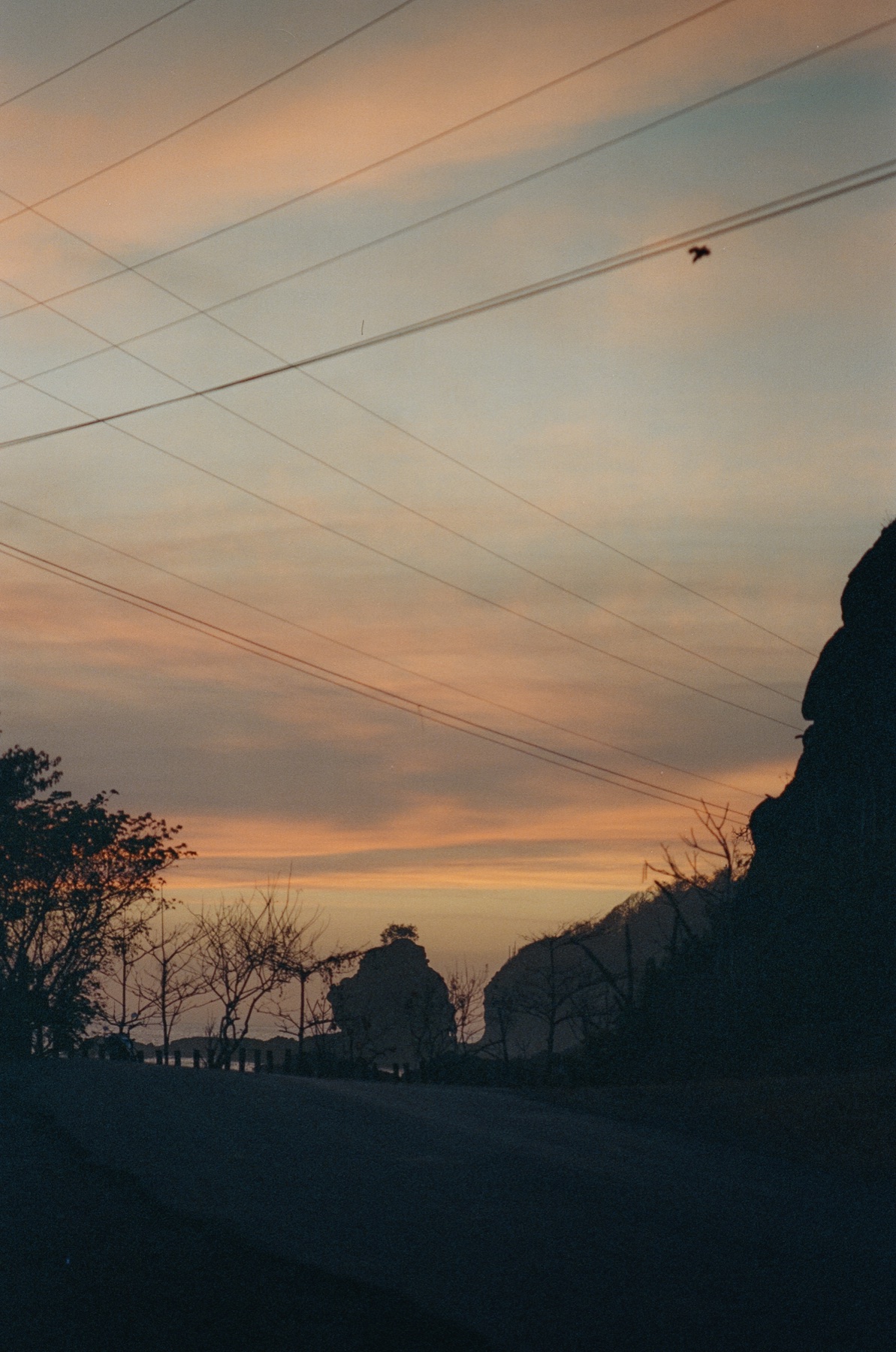 Roll 11 · Nosara, Costa Rica, frame 6