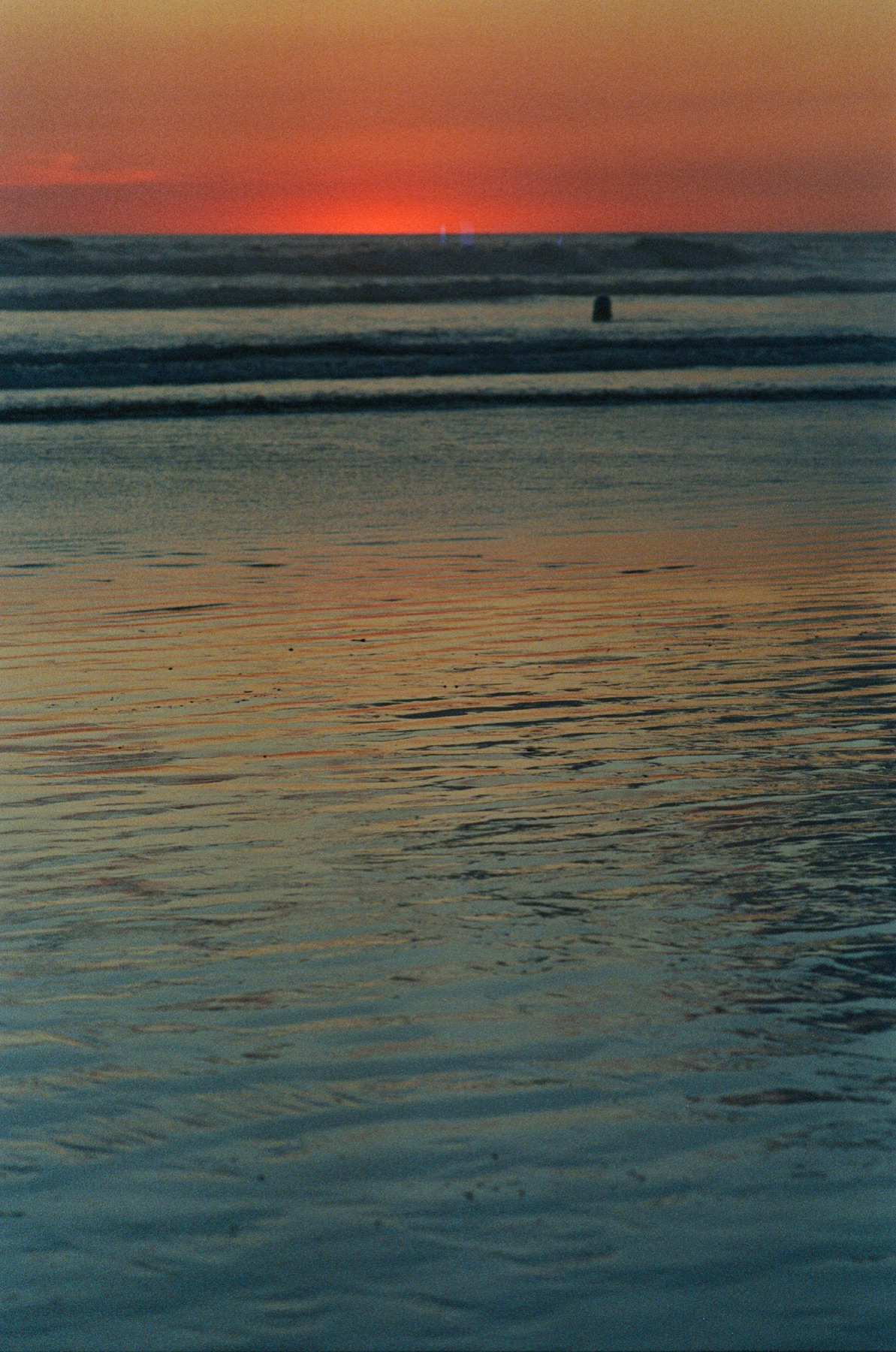 Roll 11 · Nosara, Costa Rica, frame 8