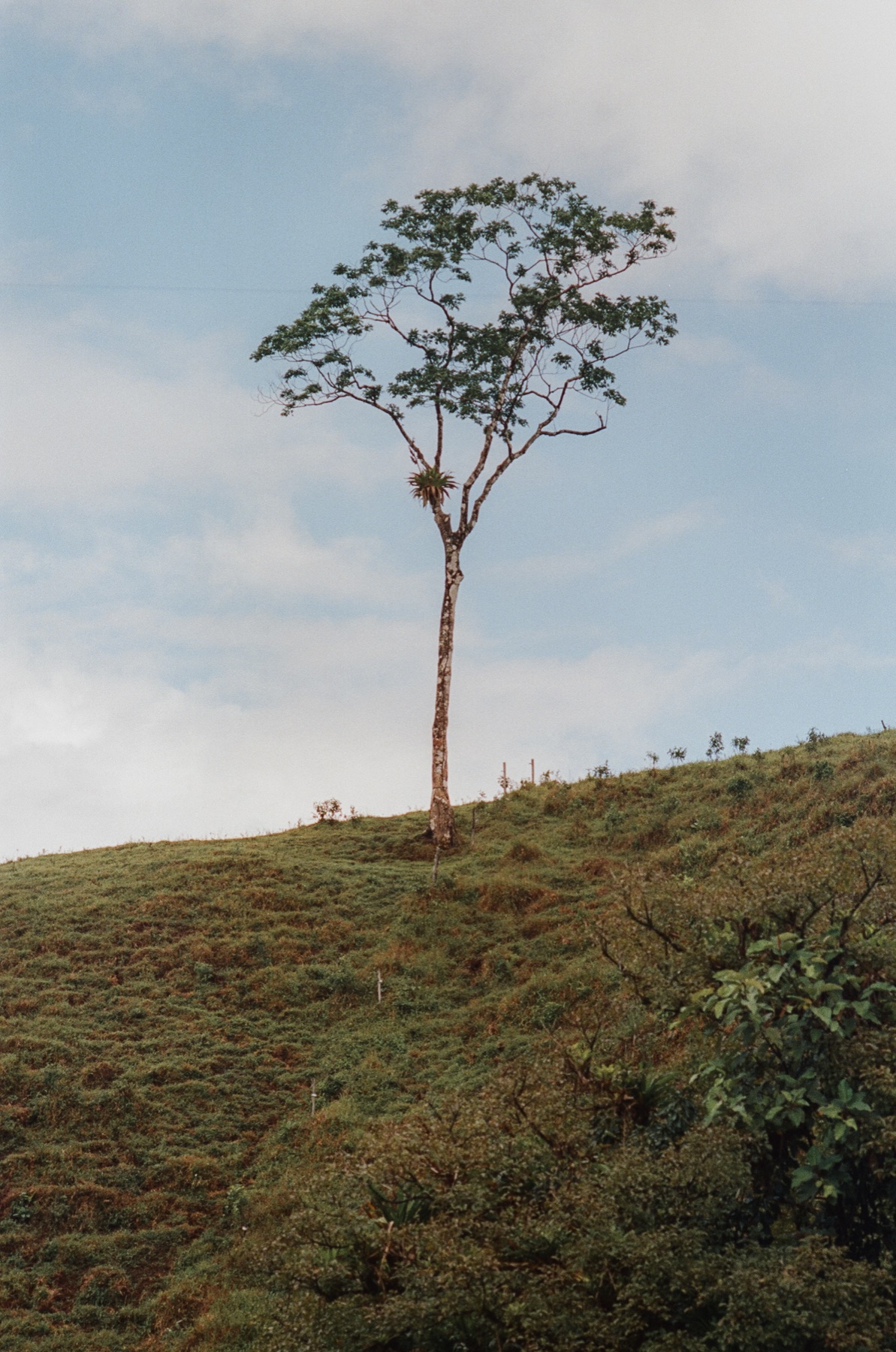 Roll 12 · Alajuela Province, Costa Rica, frame 3