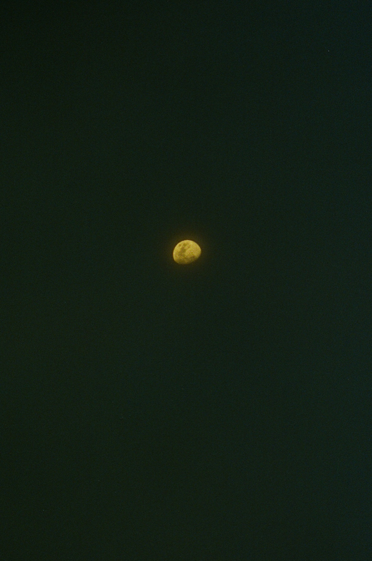 Roll 12 · Alajuela Province, Costa Rica, frame 6