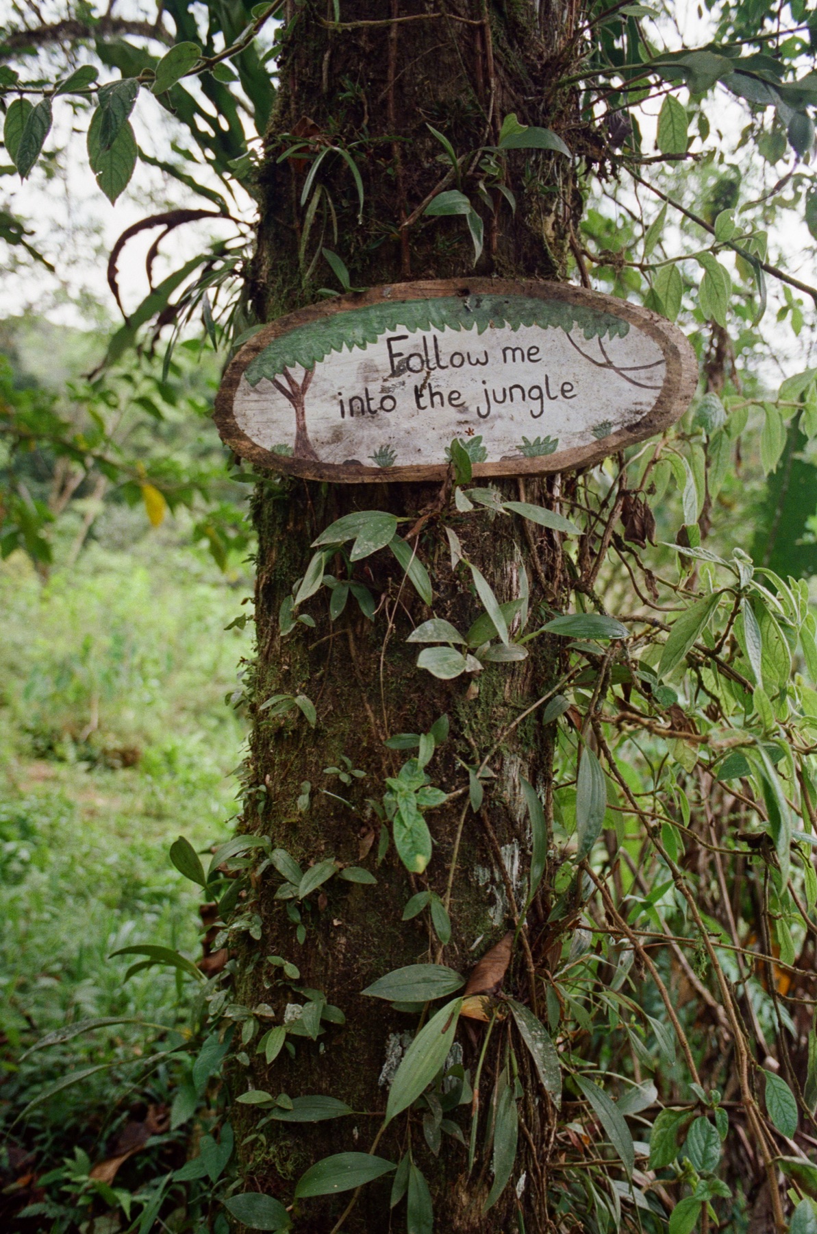 Roll 12 · Alajuela Province, Costa Rica, frame 11