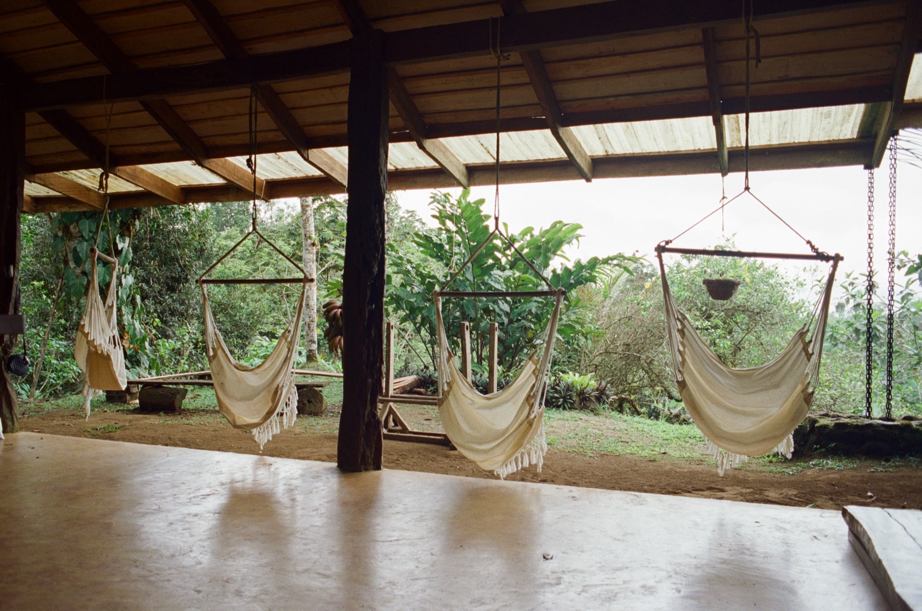 Roll 12 · Alajuela Province, Costa Rica, frame 16