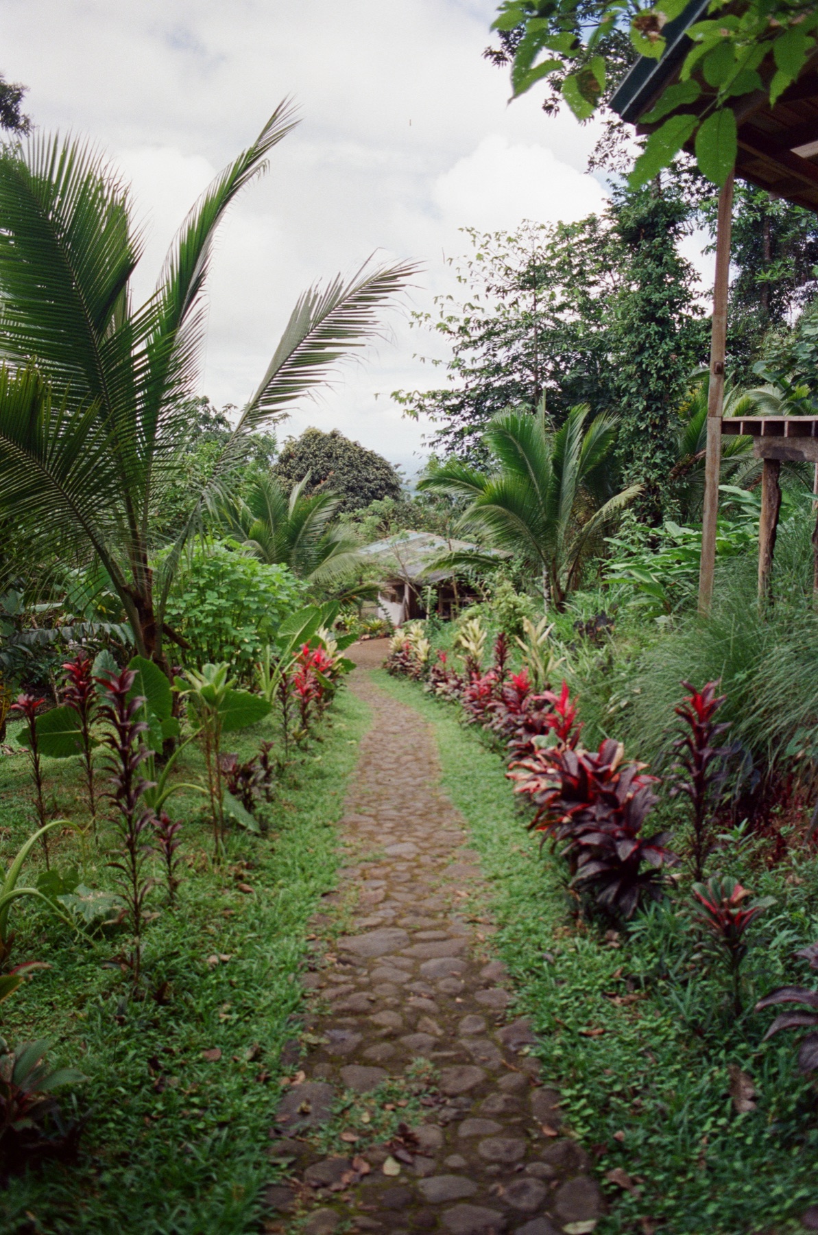 Roll 12 · Alajuela Province, Costa Rica, frame 17
