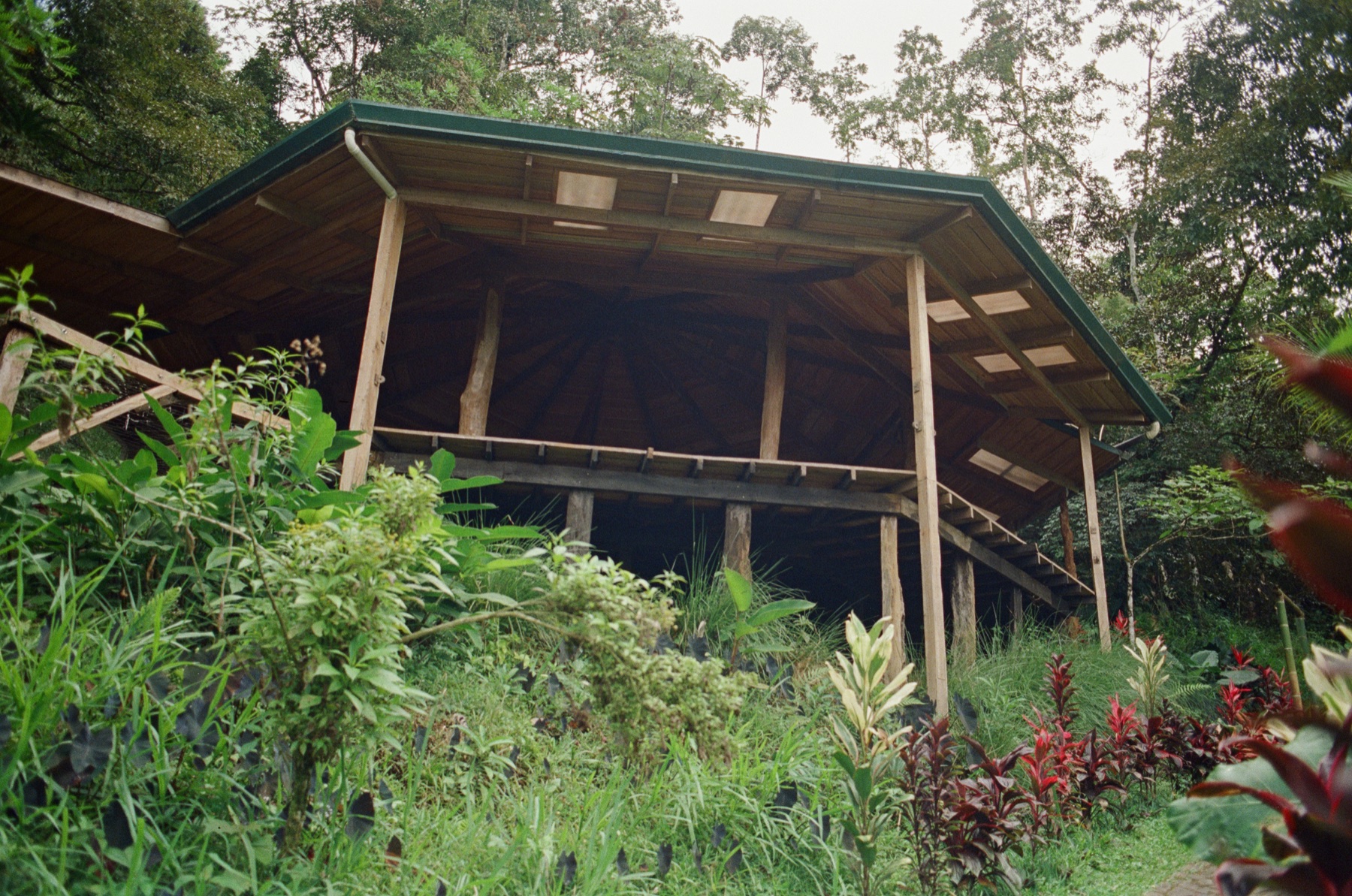 Roll 12 · Alajuela Province, Costa Rica, frame 18