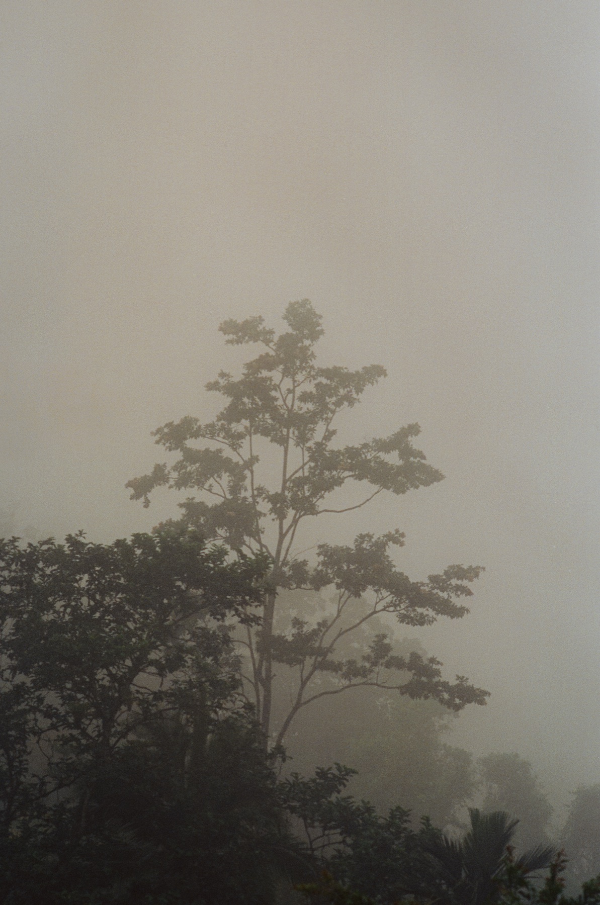 Roll 12 · Alajuela Province, Costa Rica, frame 23