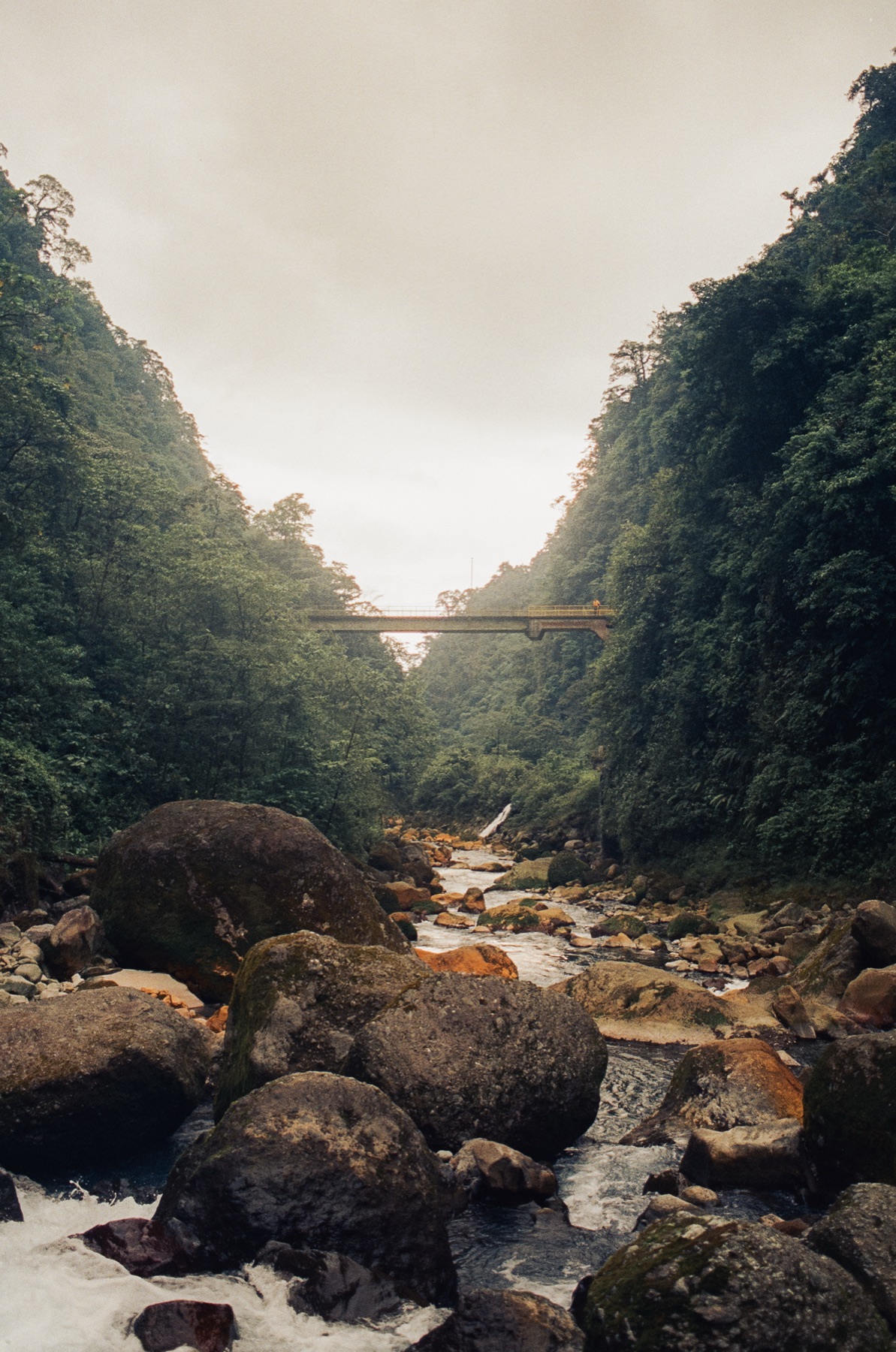 Roll 13 · Deep in the Jungle, Costa Rica, frame 2