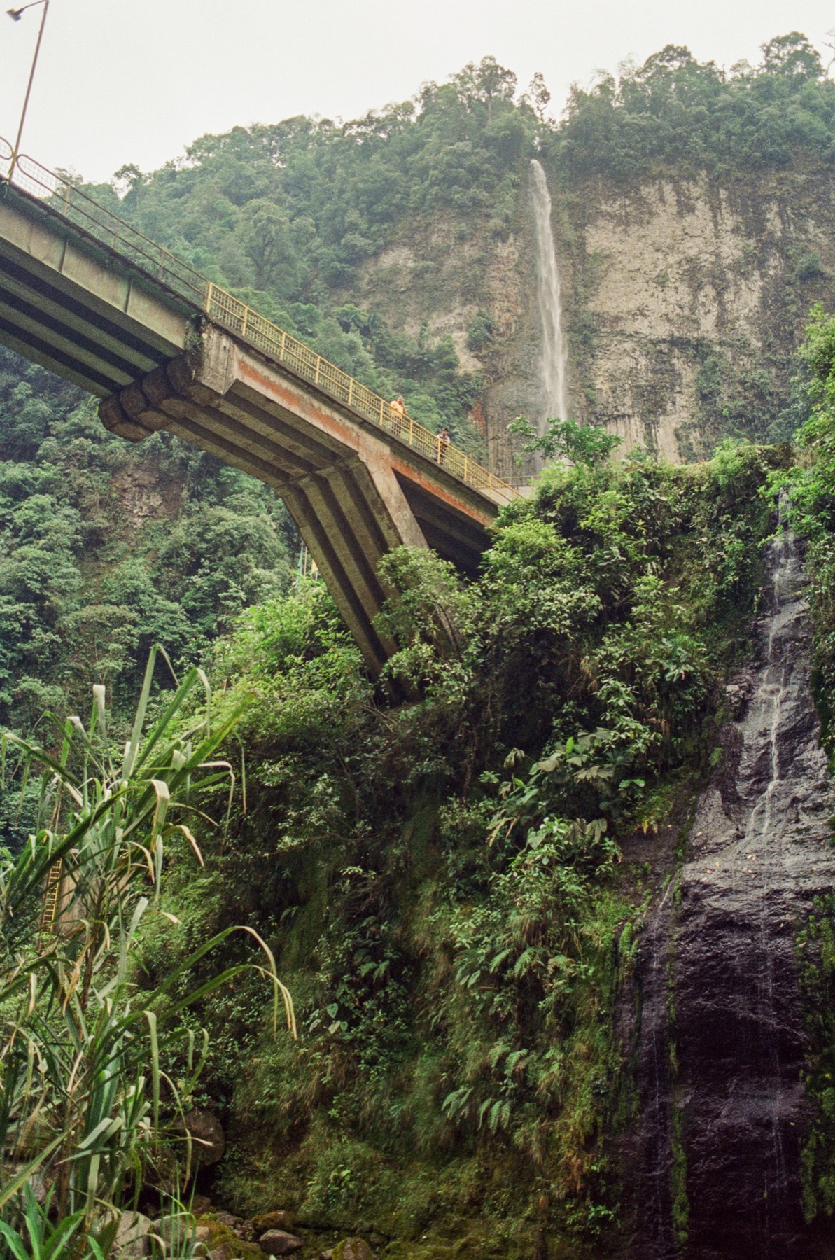 Roll 13 · Deep in the Jungle, Costa Rica, frame 6