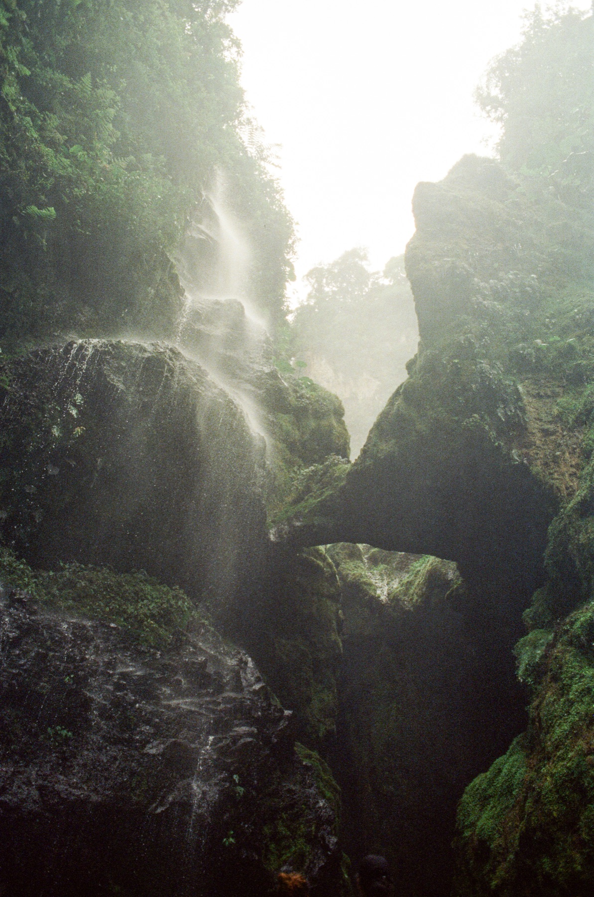 Roll 13 · Deep in the Jungle, Costa Rica, frame 8