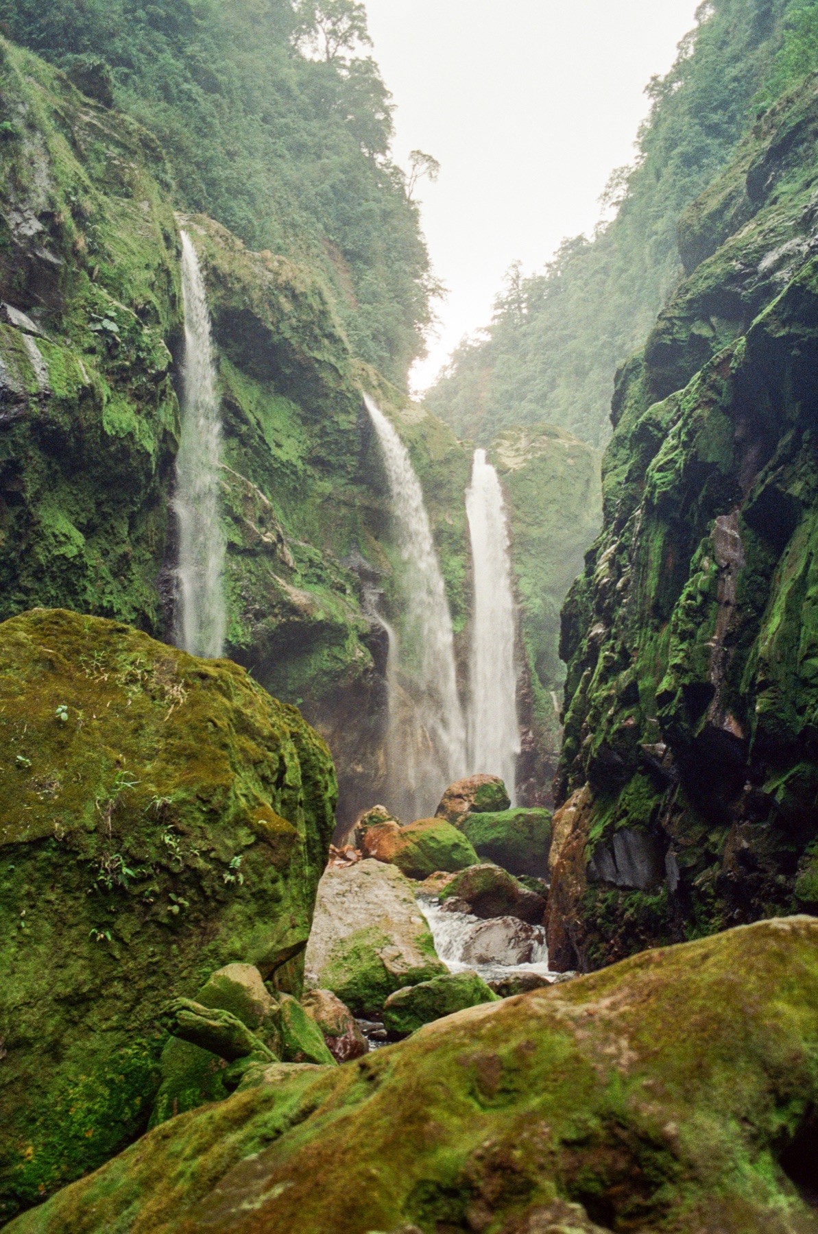 Roll 13 · Deep in the Jungle, Costa Rica, frame 11