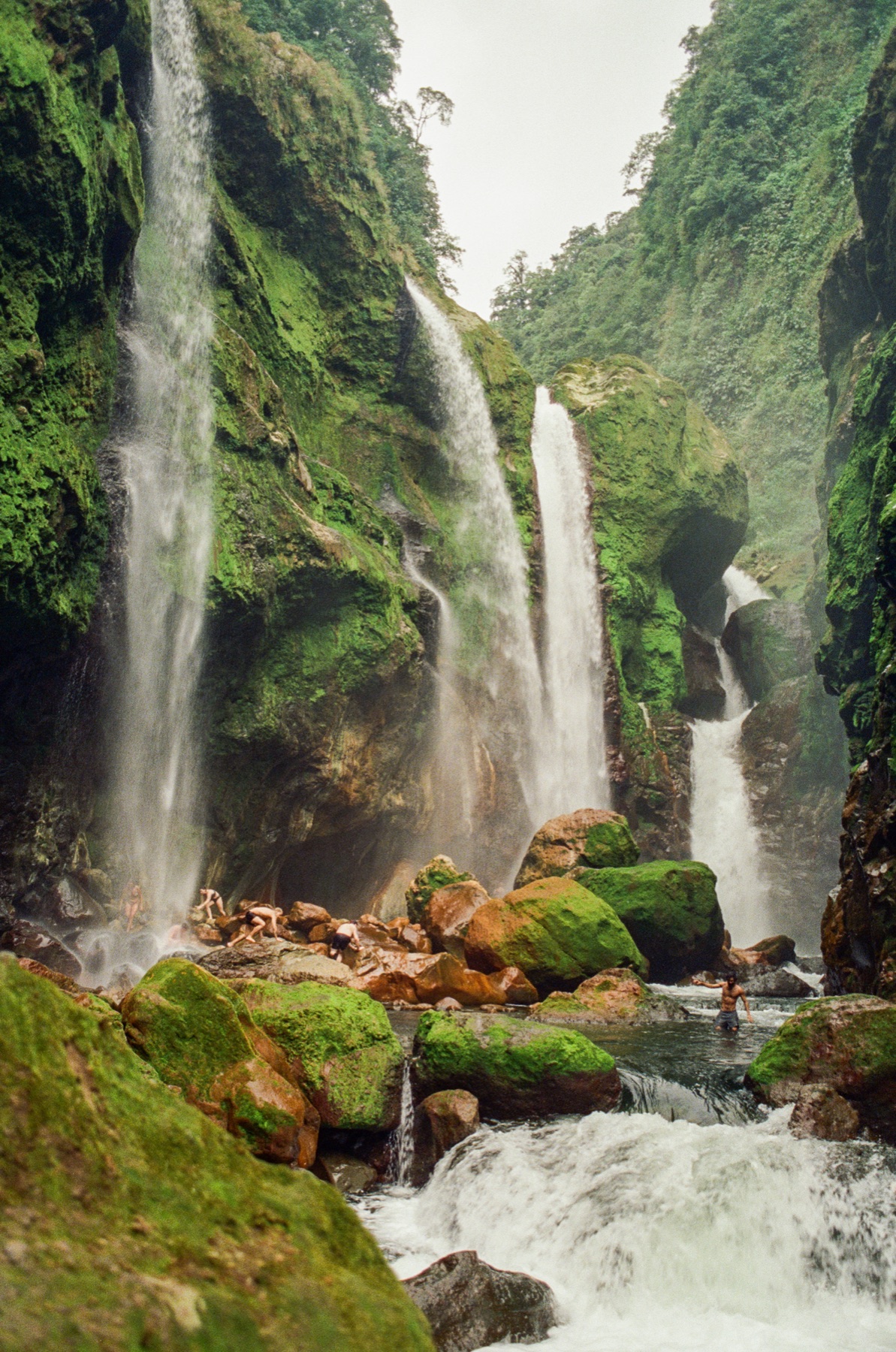 Roll 13 · Deep in the Jungle, Costa Rica, frame 15