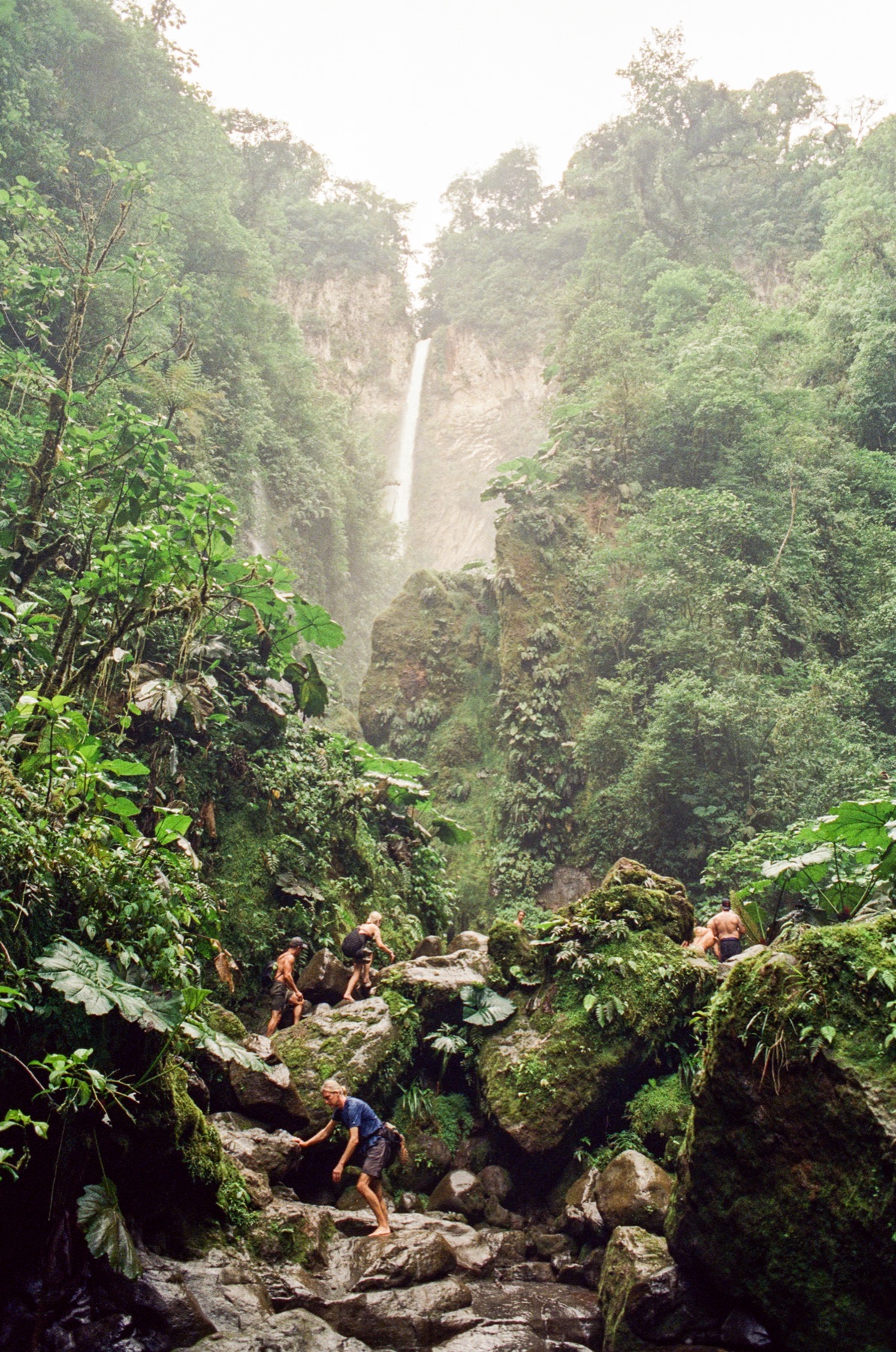 Roll 13 · Deep in the Jungle, Costa Rica, frame 18