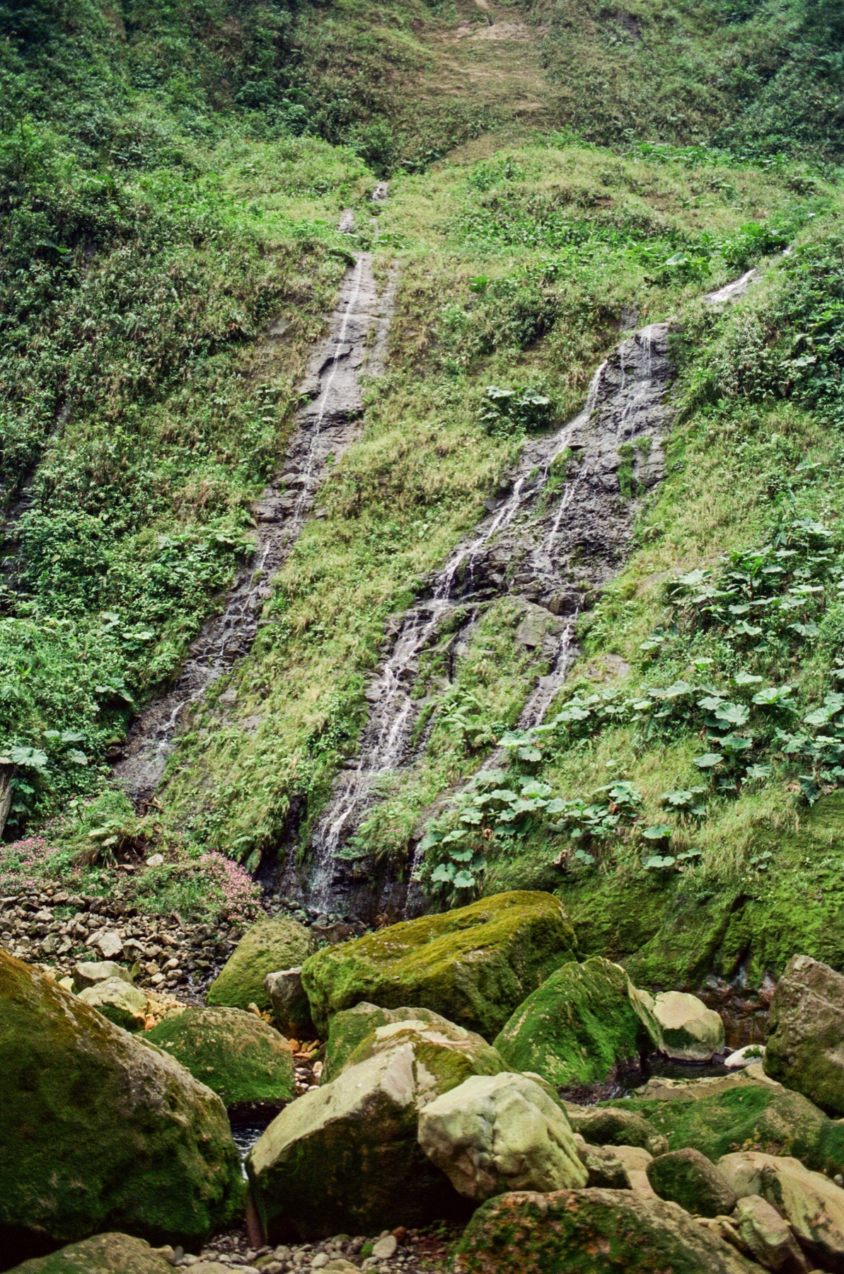 Roll 13 · Deep in the Jungle, Costa Rica, frame 20