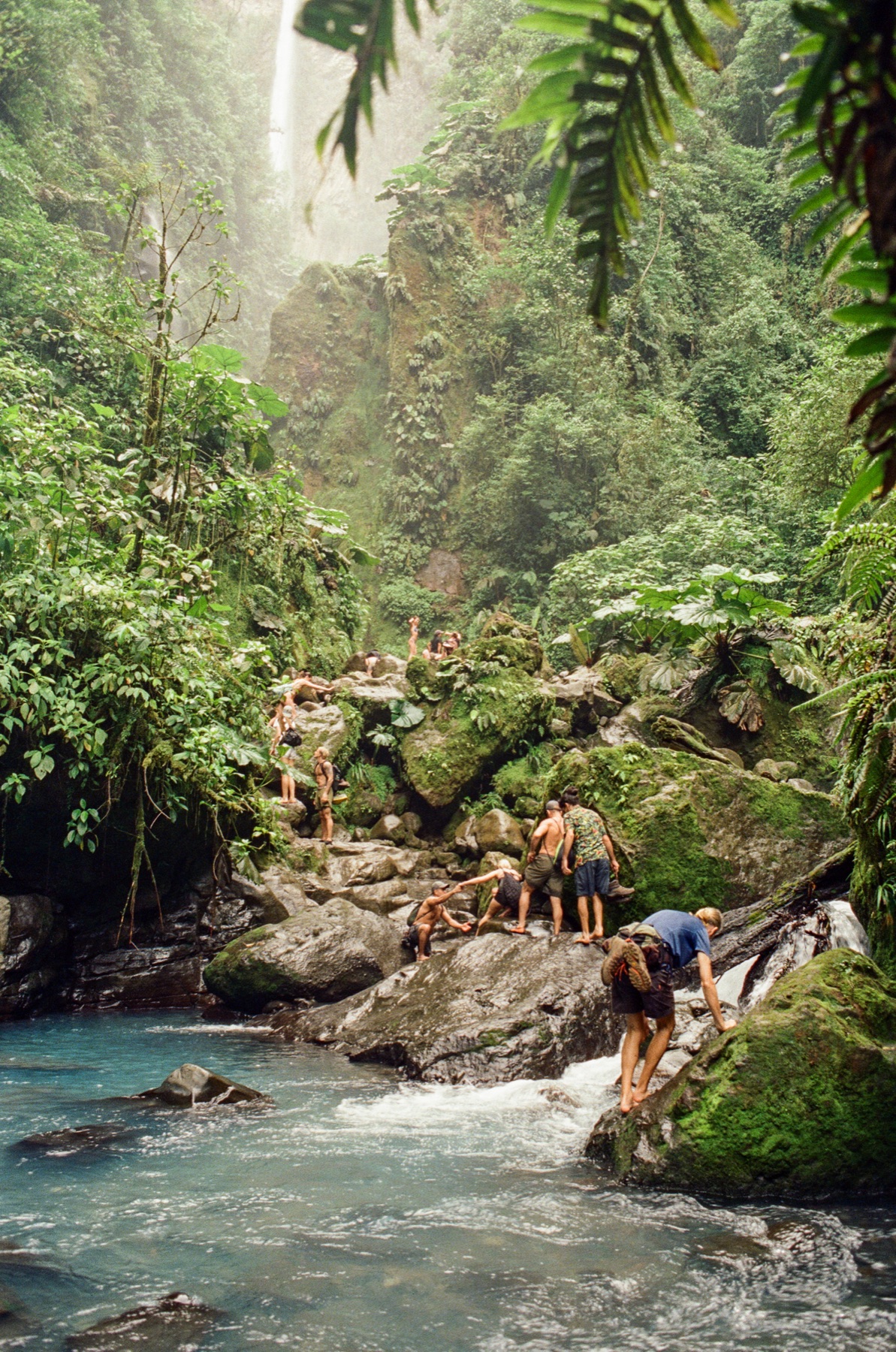 Roll 13 · Deep in the Jungle, Costa Rica, frame 24