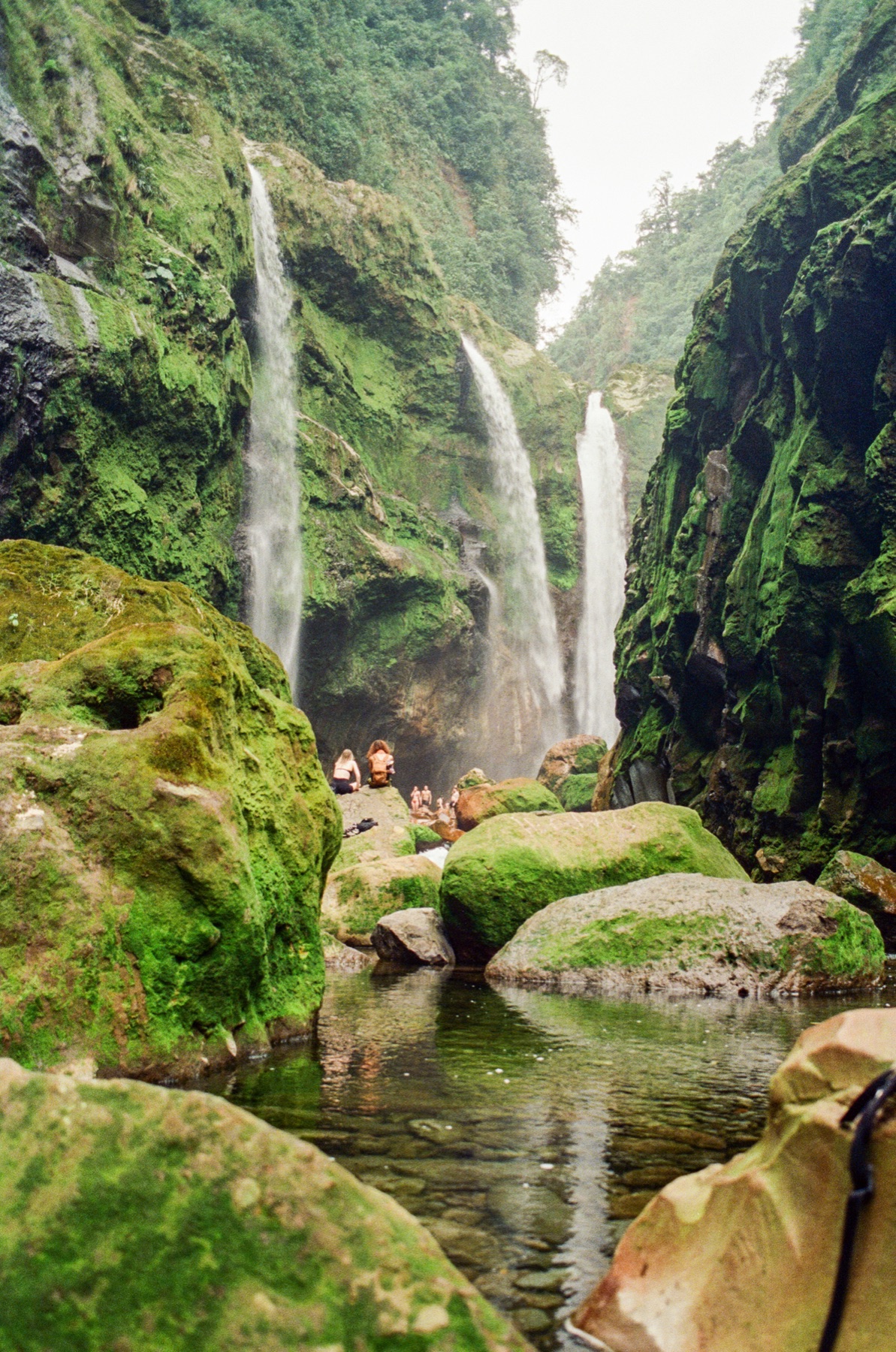 Roll 13 · Deep in the Jungle, Costa Rica, frame 25